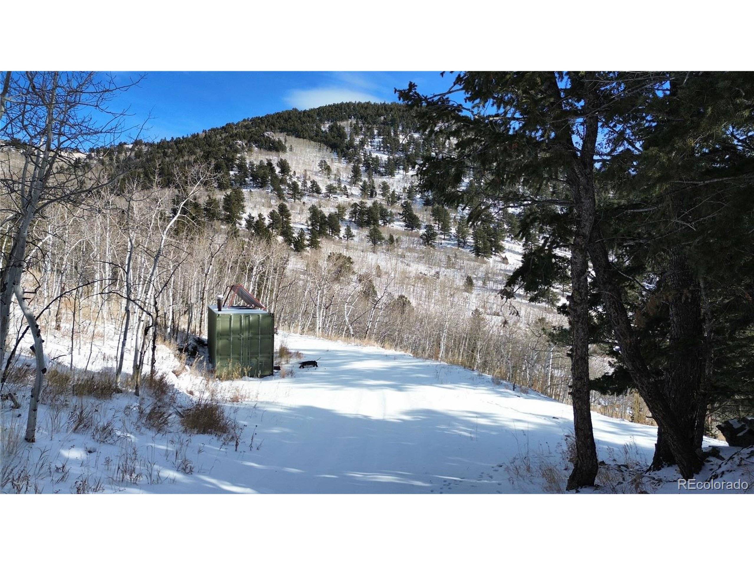 Idaho Springs, CO 80452,112 Mule Deer Trl