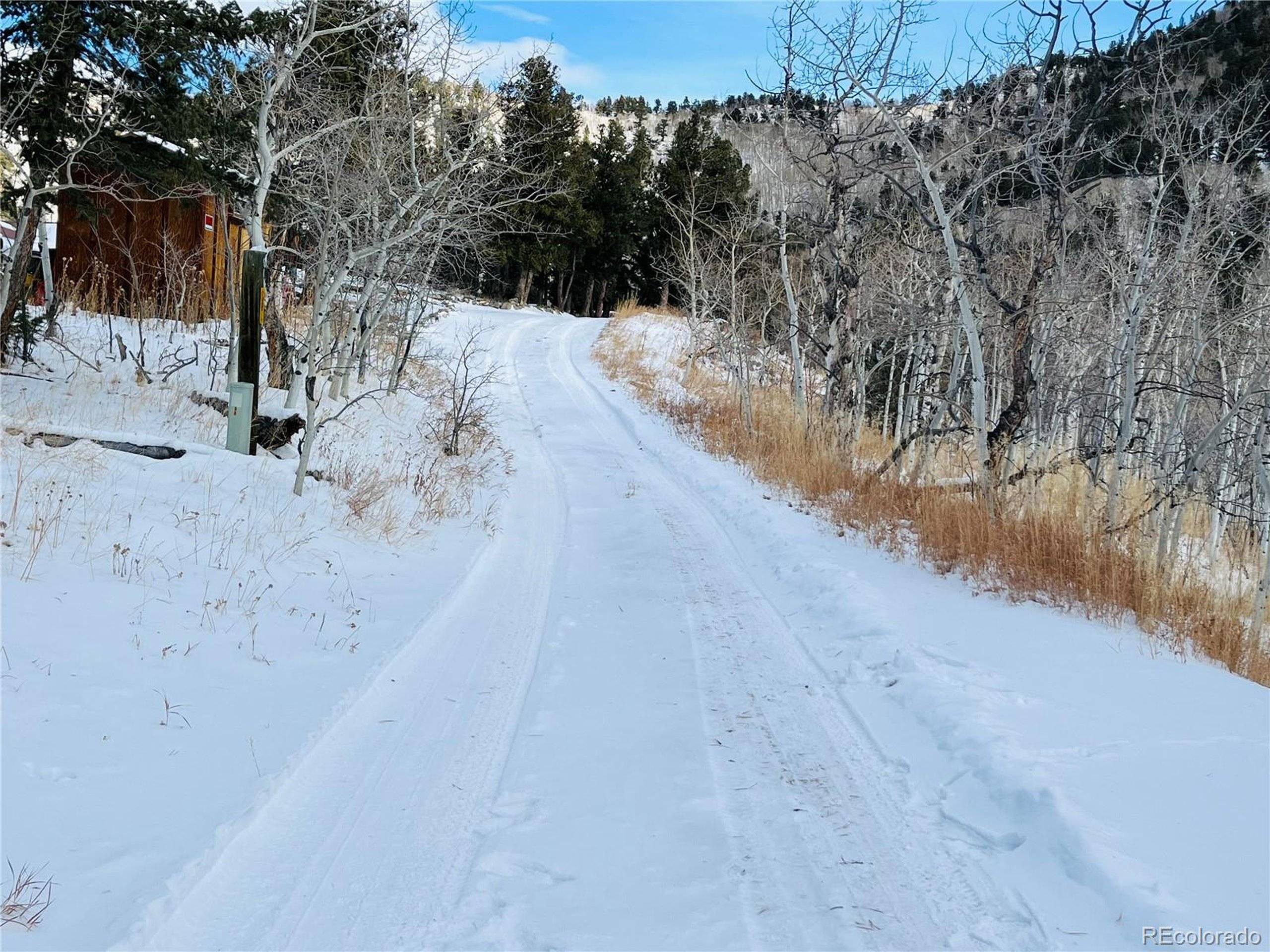 Idaho Springs, CO 80452,112 Mule Deer Trl