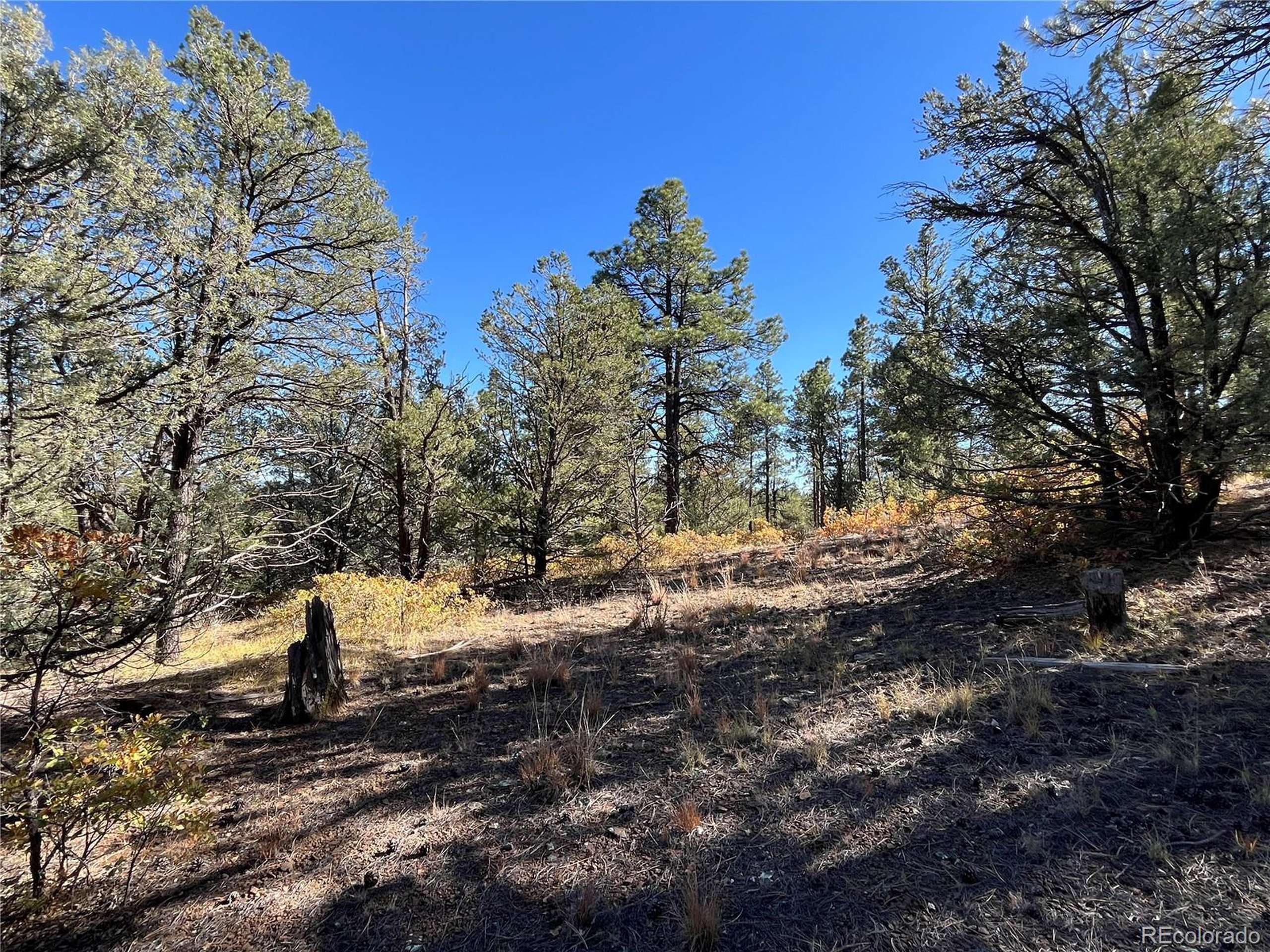 Weston, CO 81091,Rancho La Garita Lot 1147