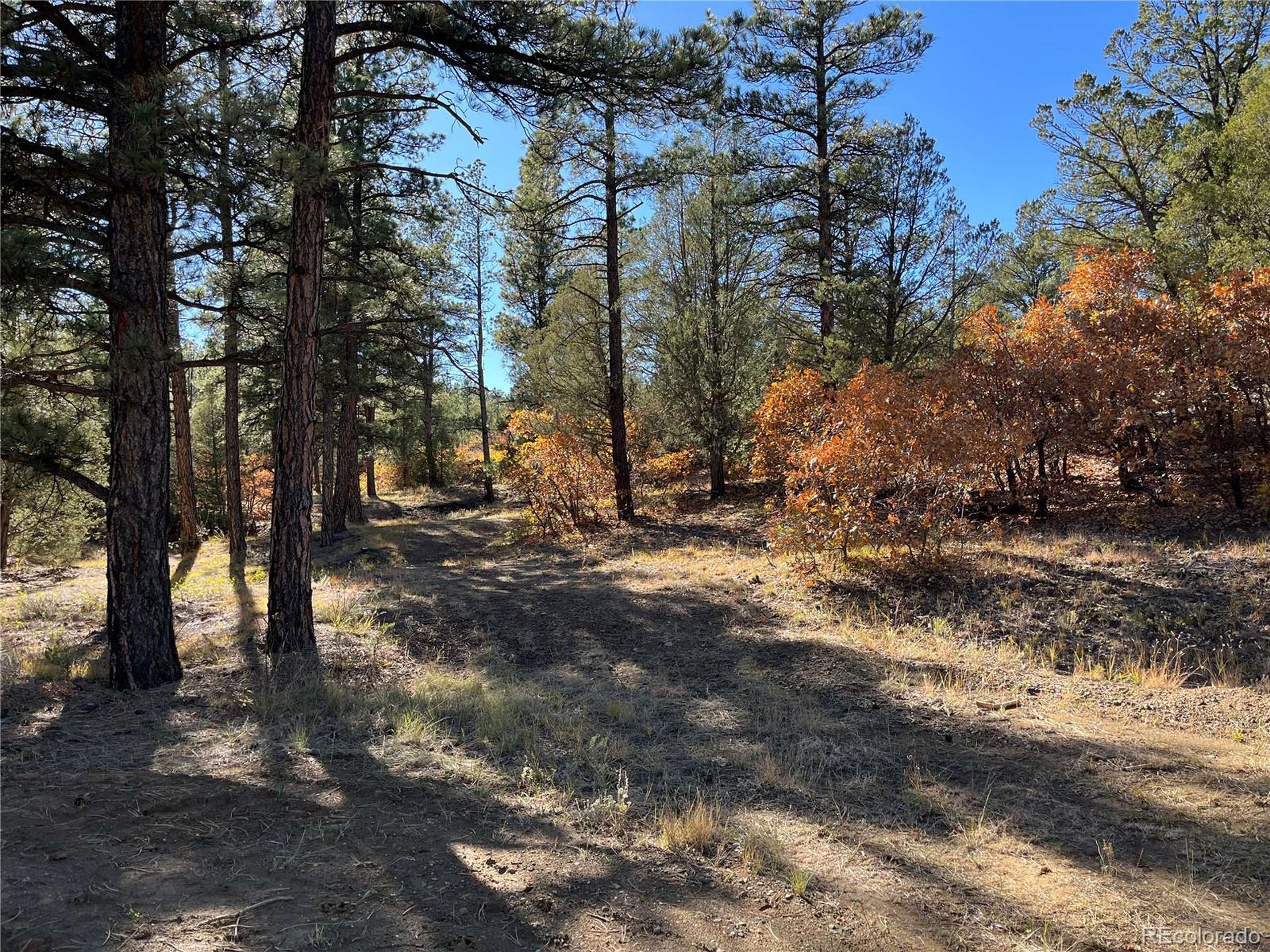 Weston, CO 81091,Rancho La Garita Lot 1147