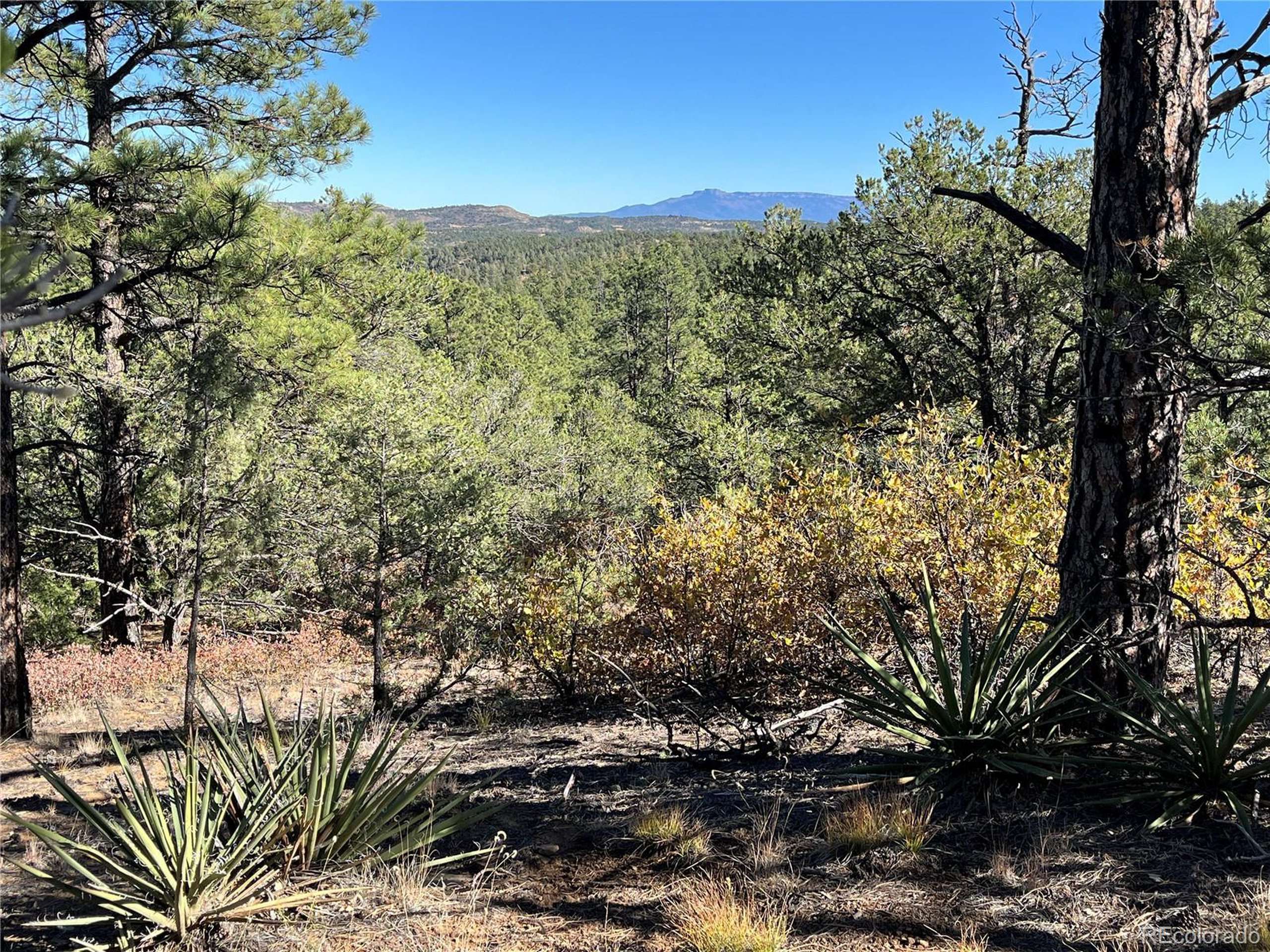 Weston, CO 81091,Rancho La Garita Lot 1147