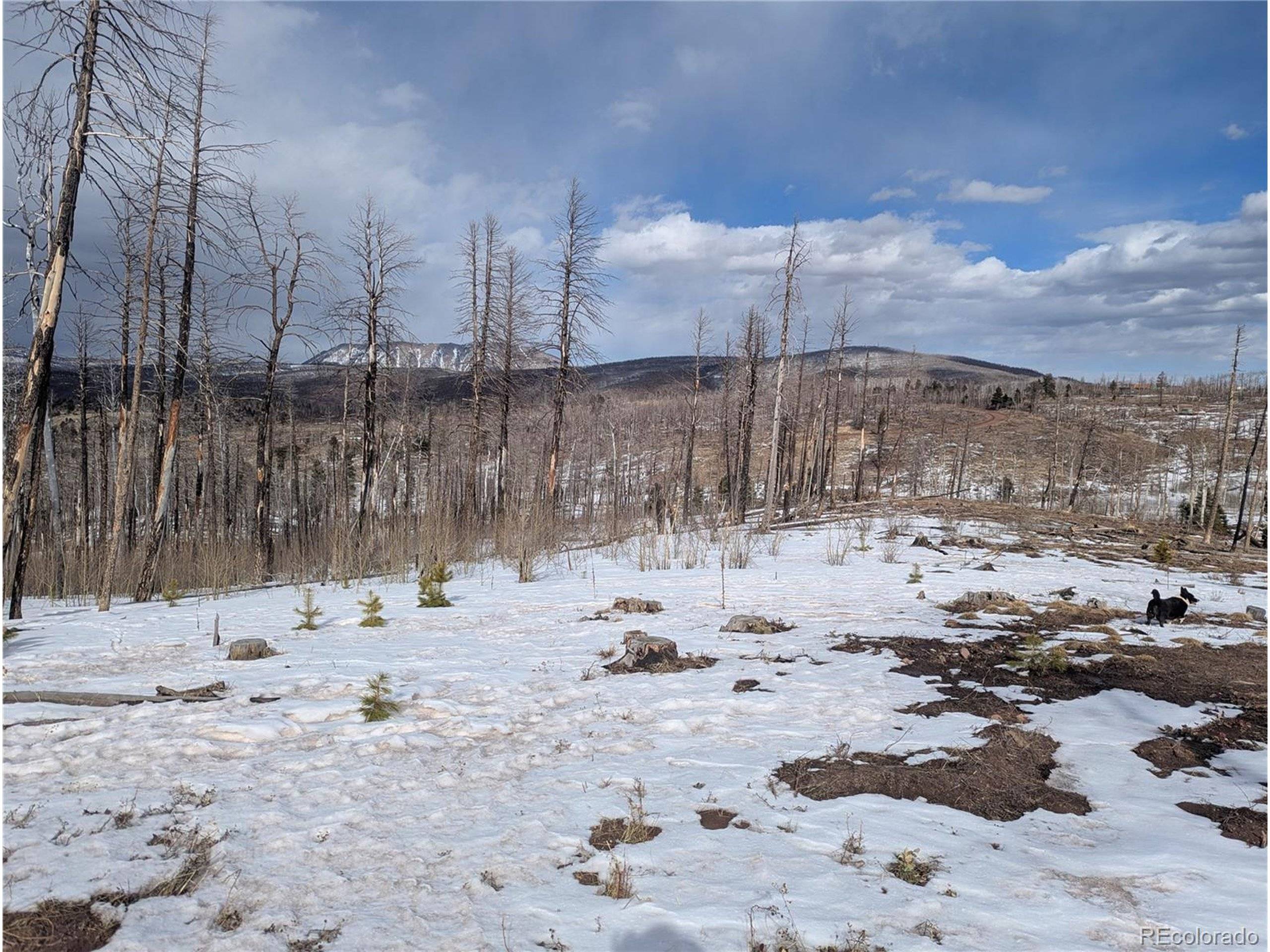 Fort Garland, CO 81133,971 Huntington Ln