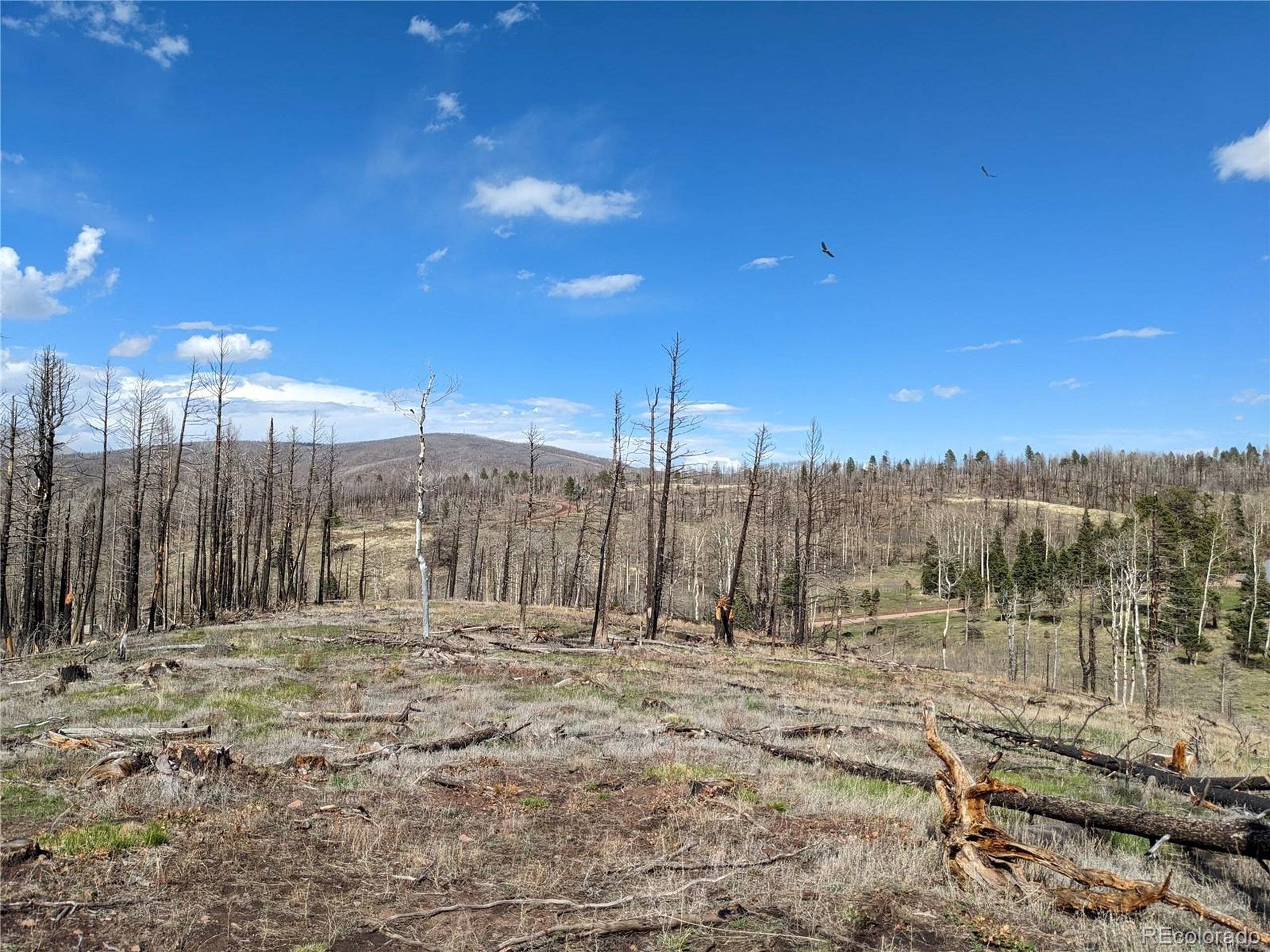 Fort Garland, CO 81133,971 Huntington Ln