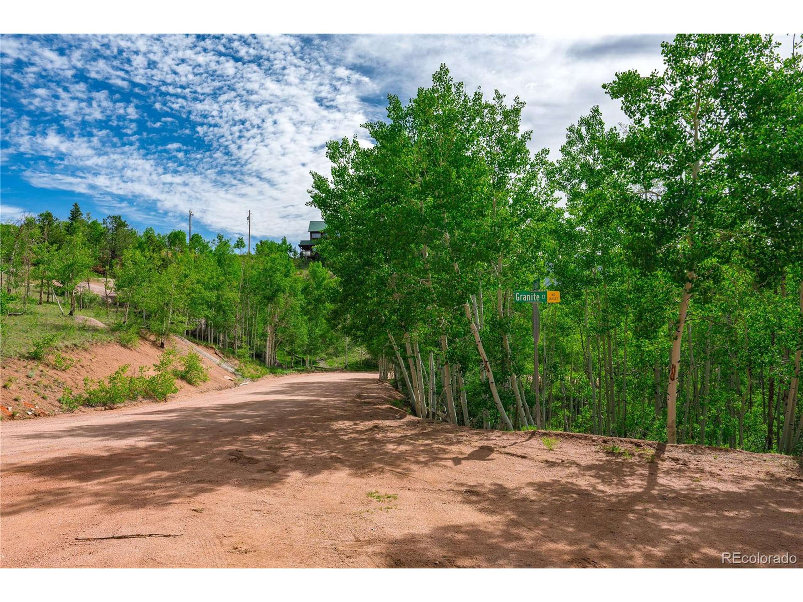 Cripple Creek, CO 80813,27 Granite Ct