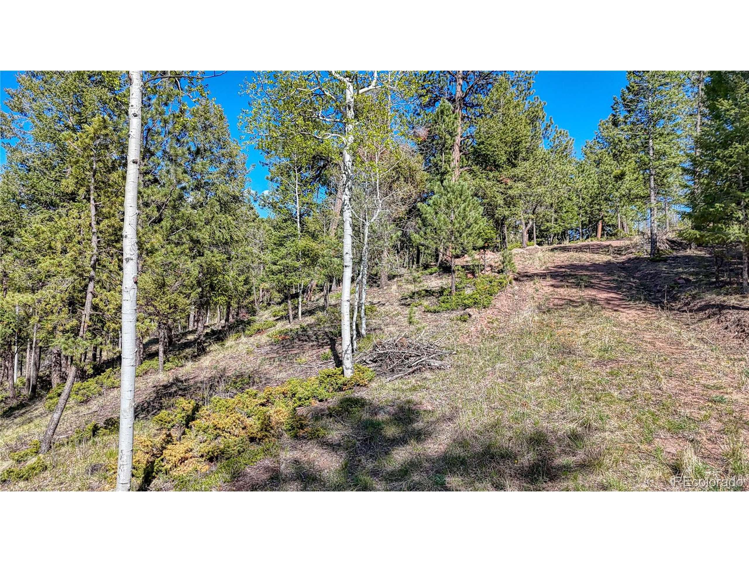 Florissant, CO 80816,56 Fir Ln
