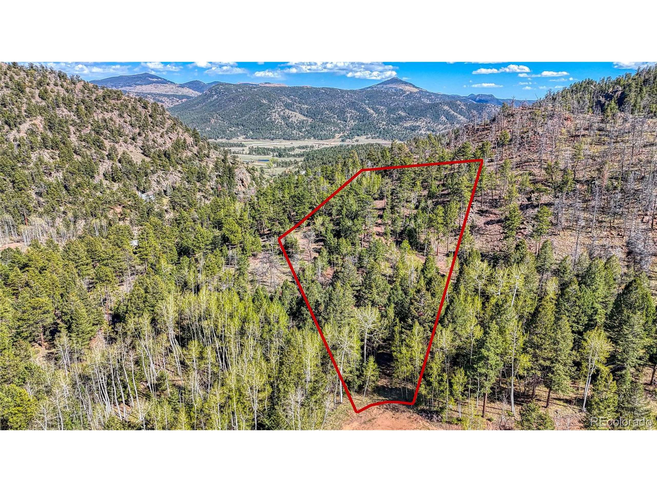 Florissant, CO 80816,56 Fir Ln