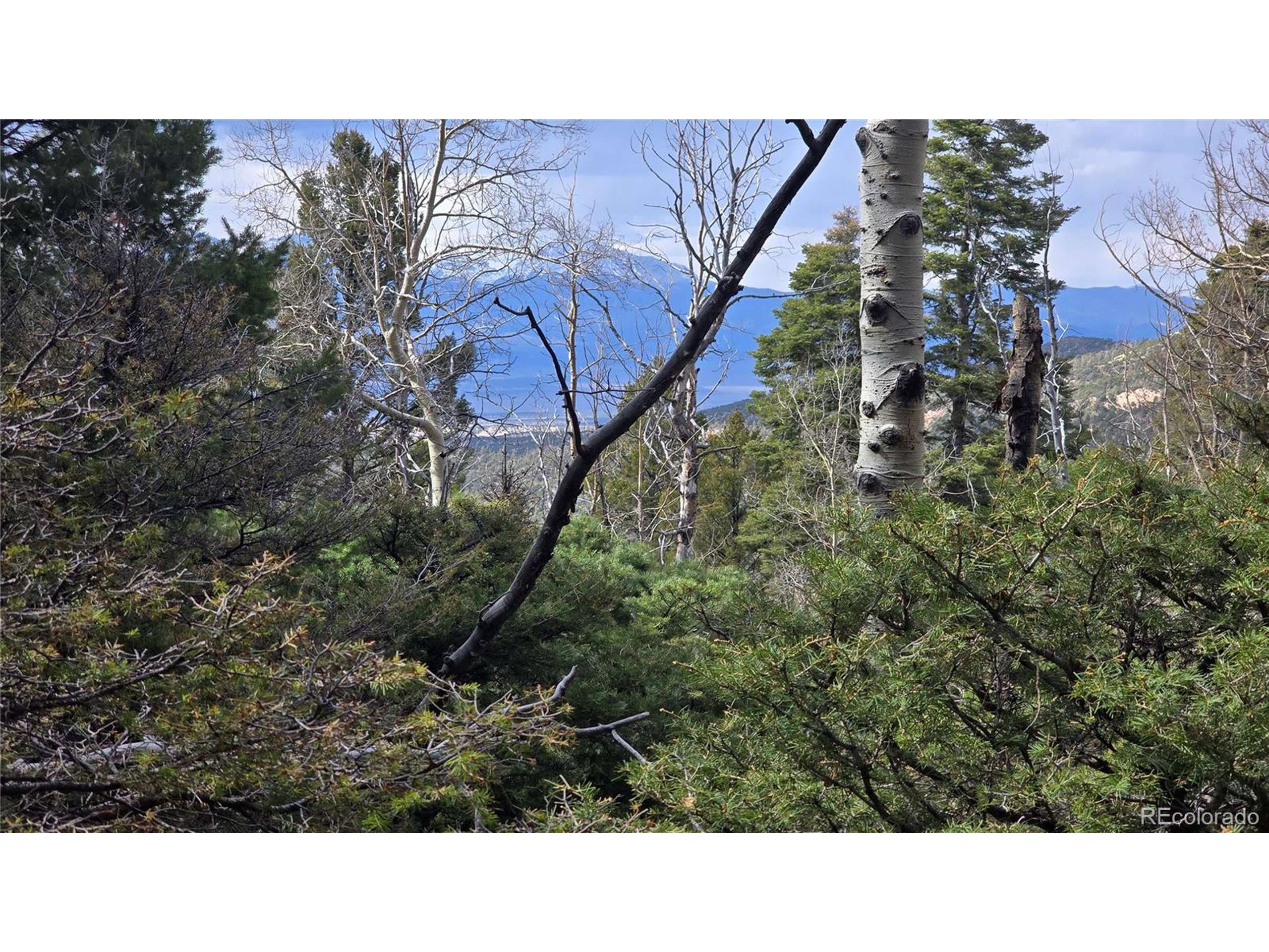 Fort Garland, CO 81133,5261 Scott Rd