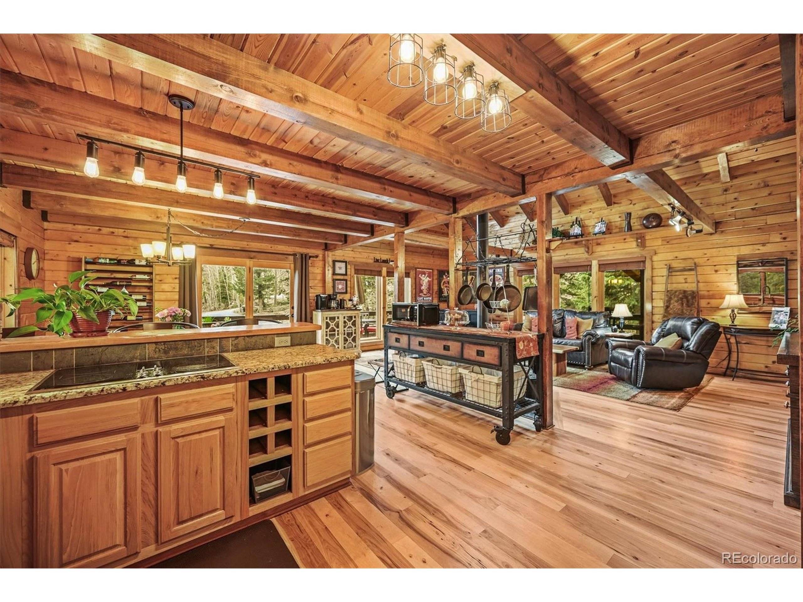 Evergreen, CO 80439,1673 Sinton Rd