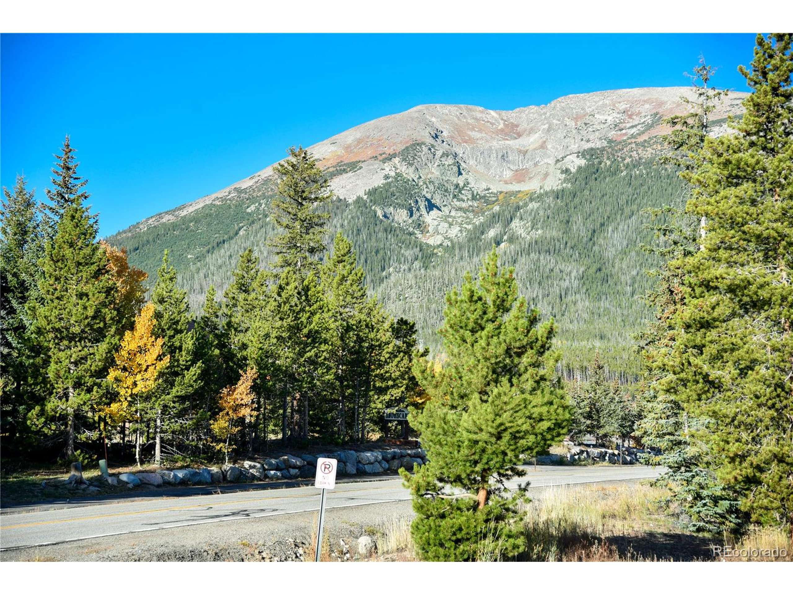 Silverthorne, CO 80498,14 Spyglass Ln #14