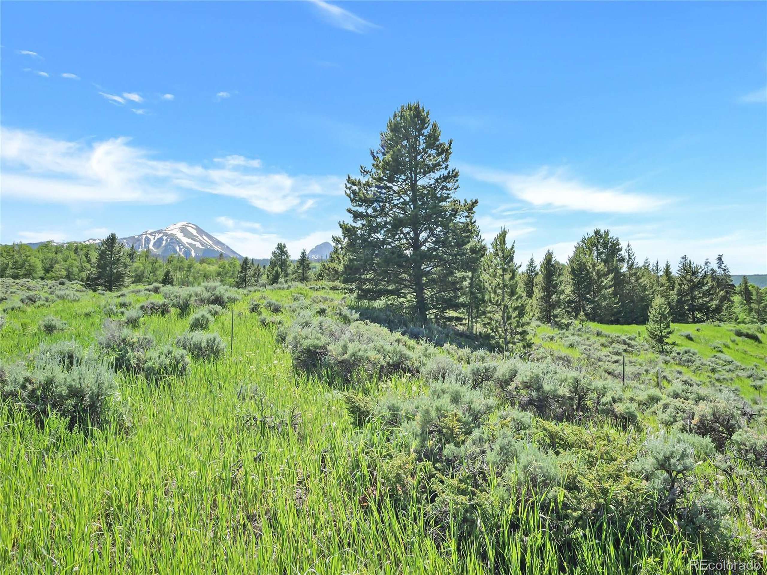 Silverthorne, CO 80498,Co-9