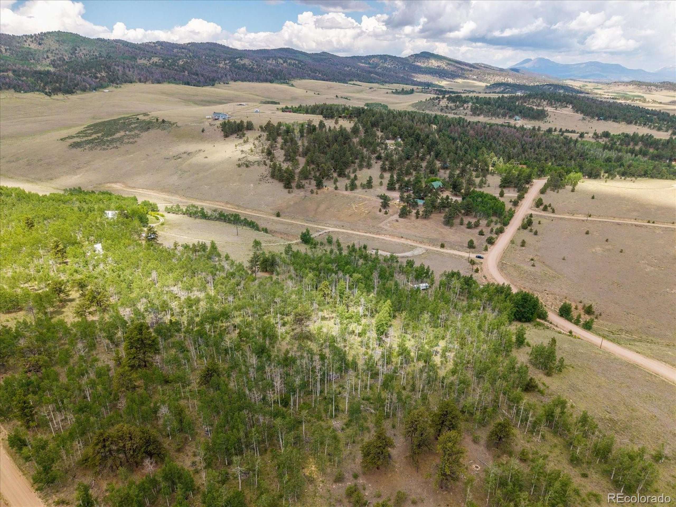 Hartsel, CO 80449,40 Brahma Ct