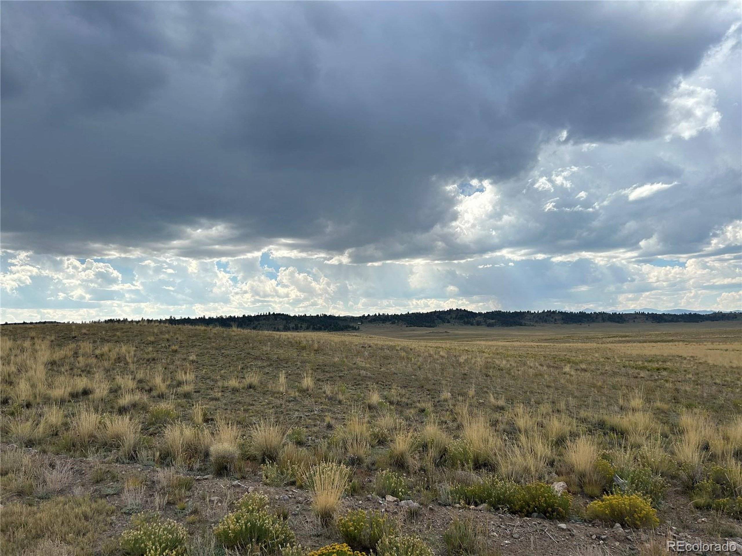 Hartsel, CO 80449,10055 County Road 53