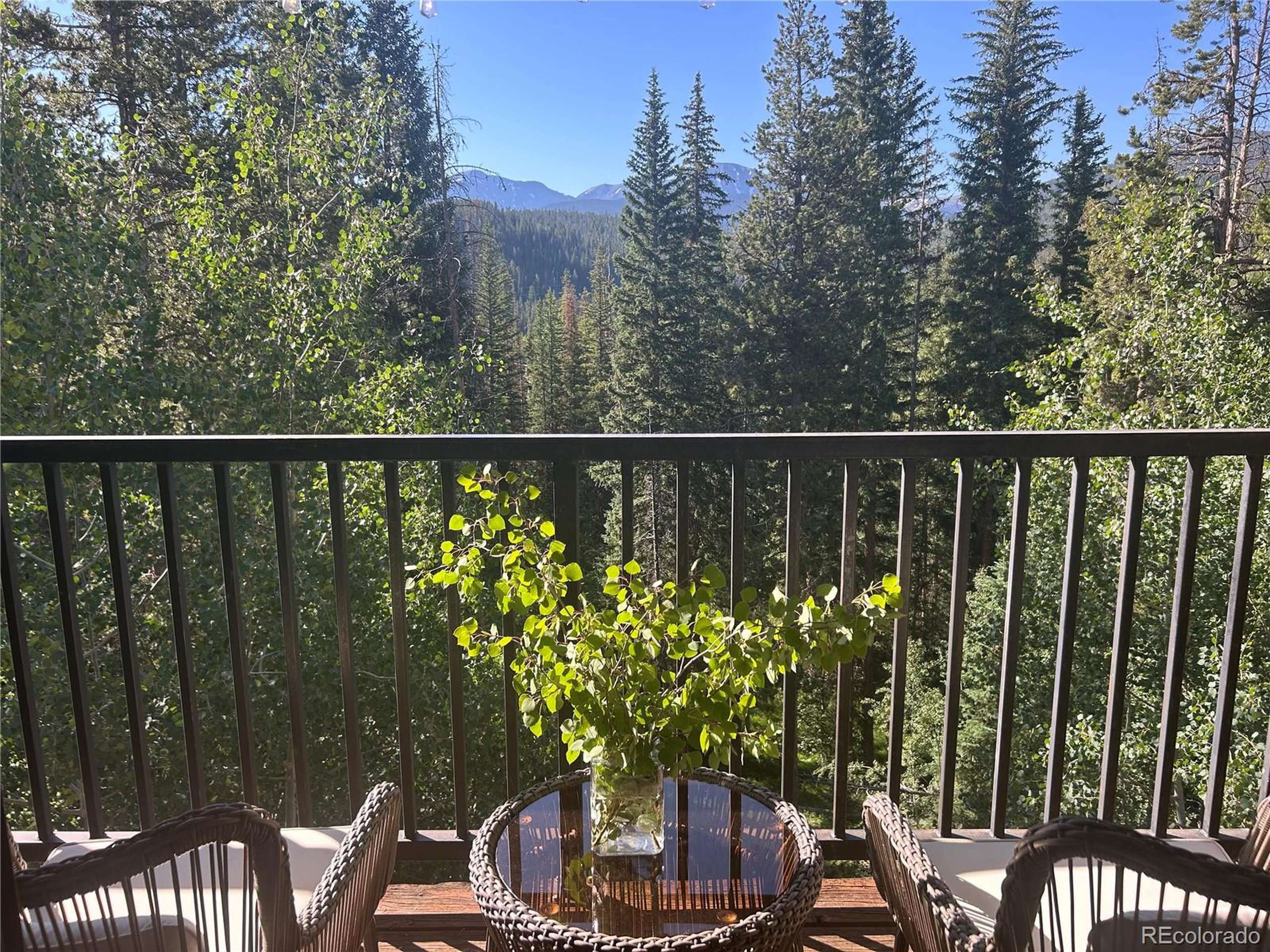 Winter Park, CO 80446,220 GCR 702 #20-301