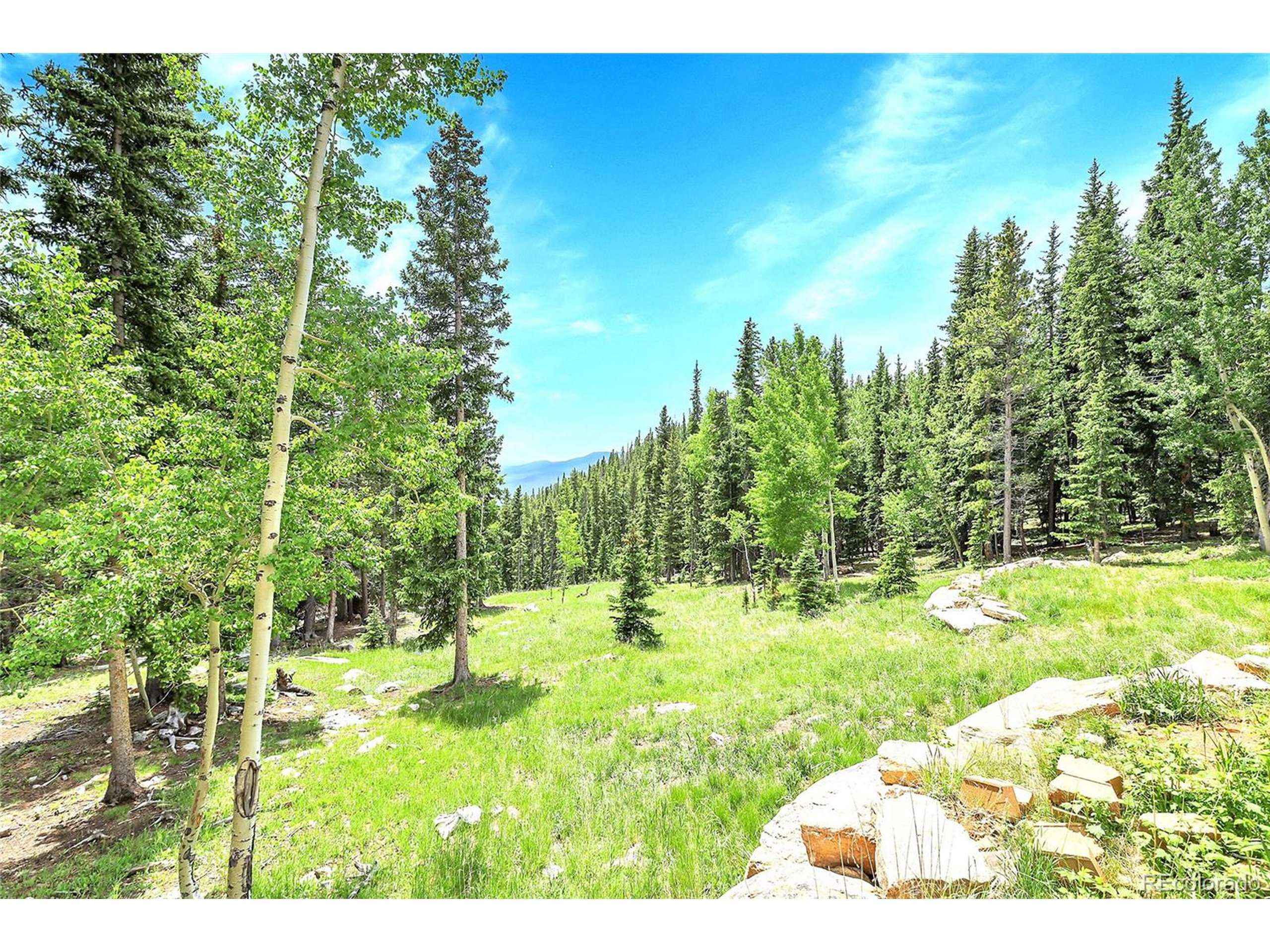 Idaho Springs, CO 80452,1176 Raven Ridge Rd