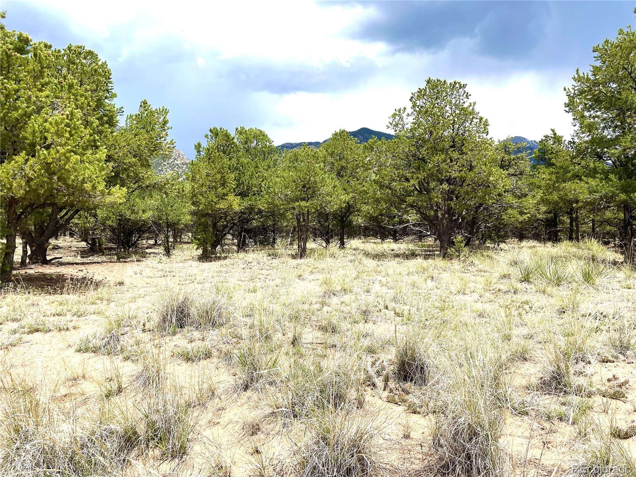 Crestone, CO 81131,6 Hemlock St