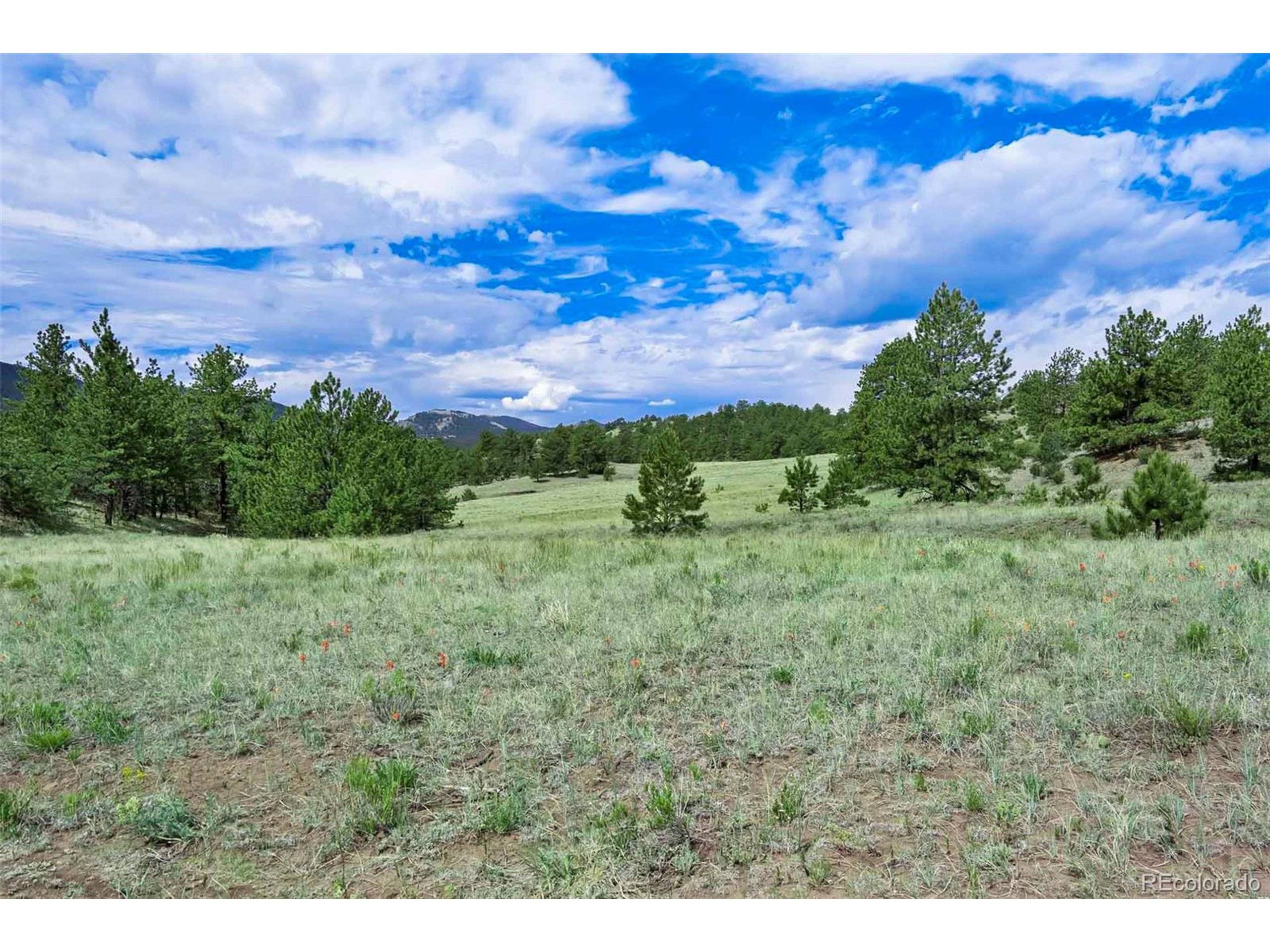 Guffey, CO 80820,8 County Road 102