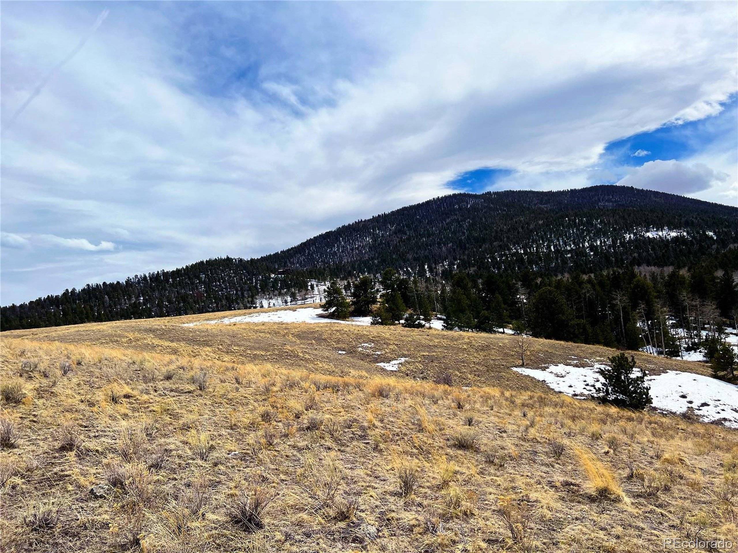 Westcliffe, CO 81252,46 Eagle Valley Rd