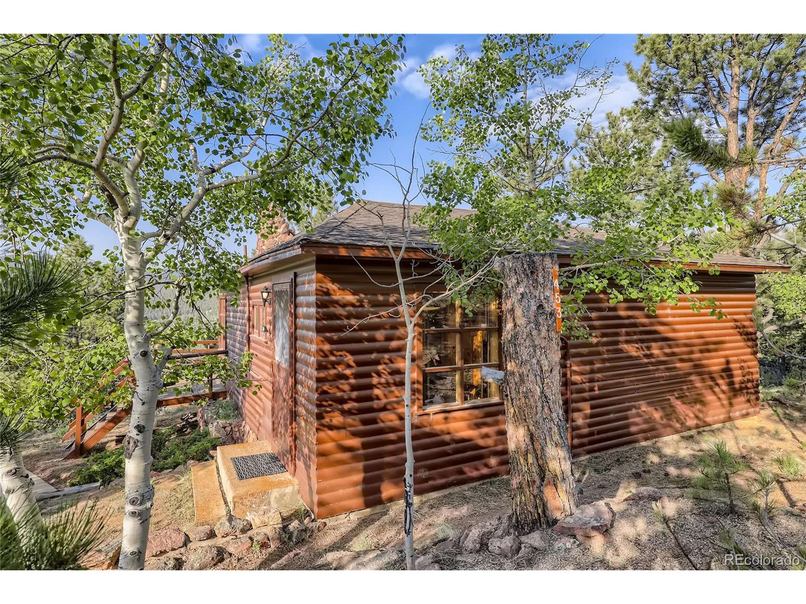 Bailey, CO 80421,453 Road P69