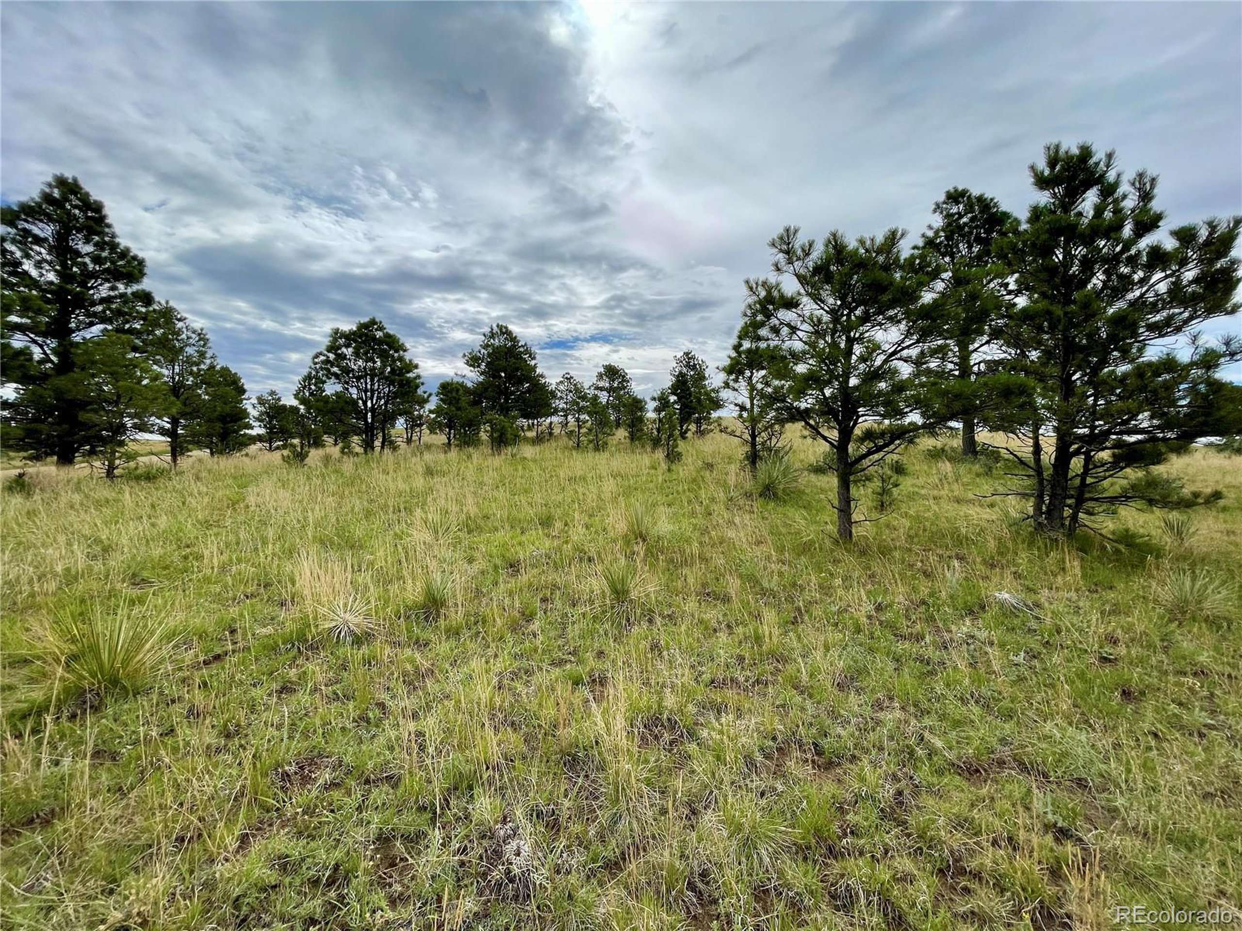Ramah, CO 80832,32011 Cattle Circle