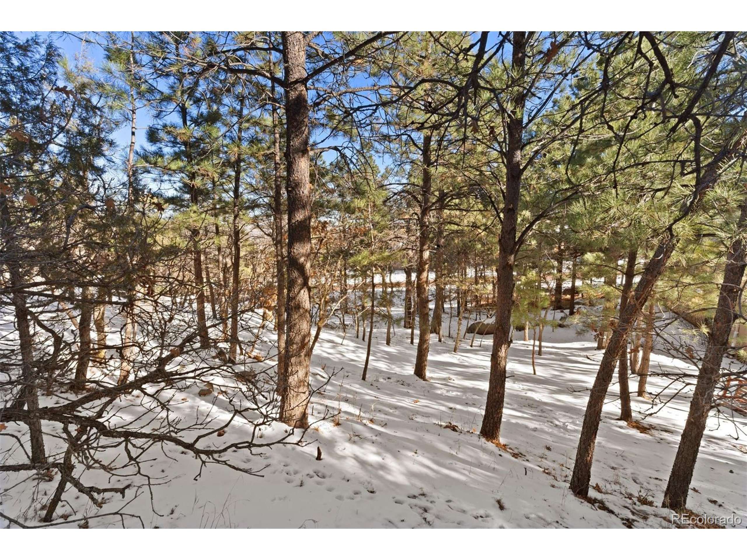Colorado Springs, CO 80906,5960 Buttermere Dr
