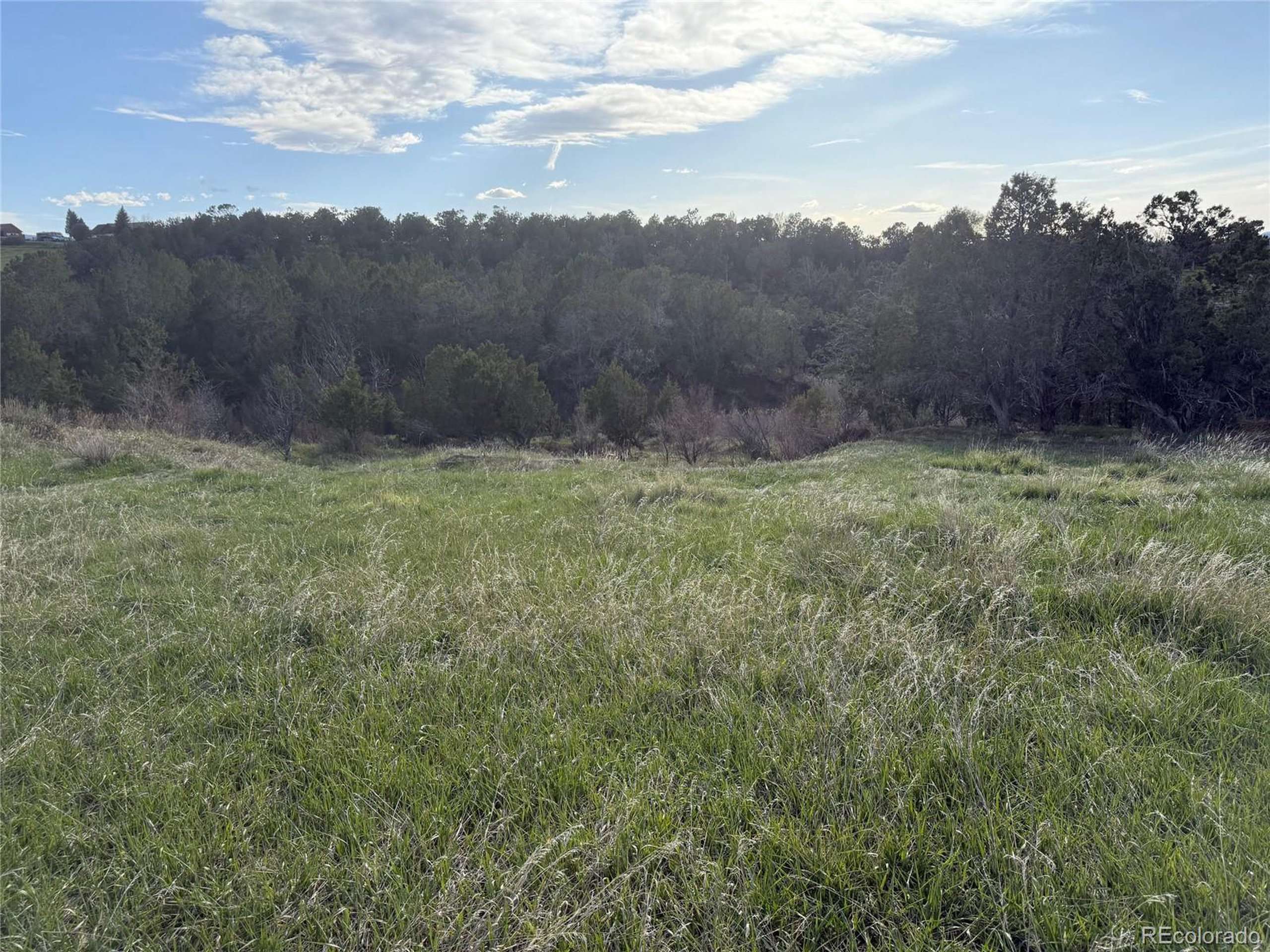 Collbran, CO 81624,Address not disclosed