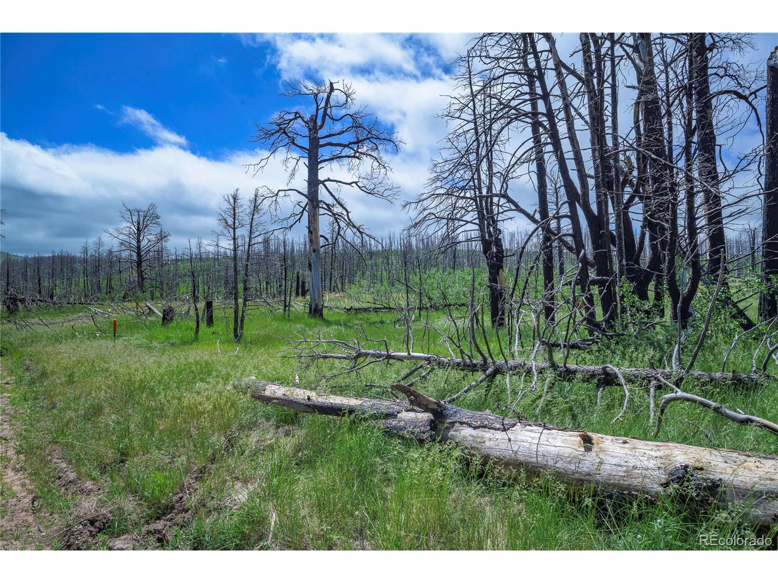Fort Garland, CO 81133,1185 Bechtel Pl
