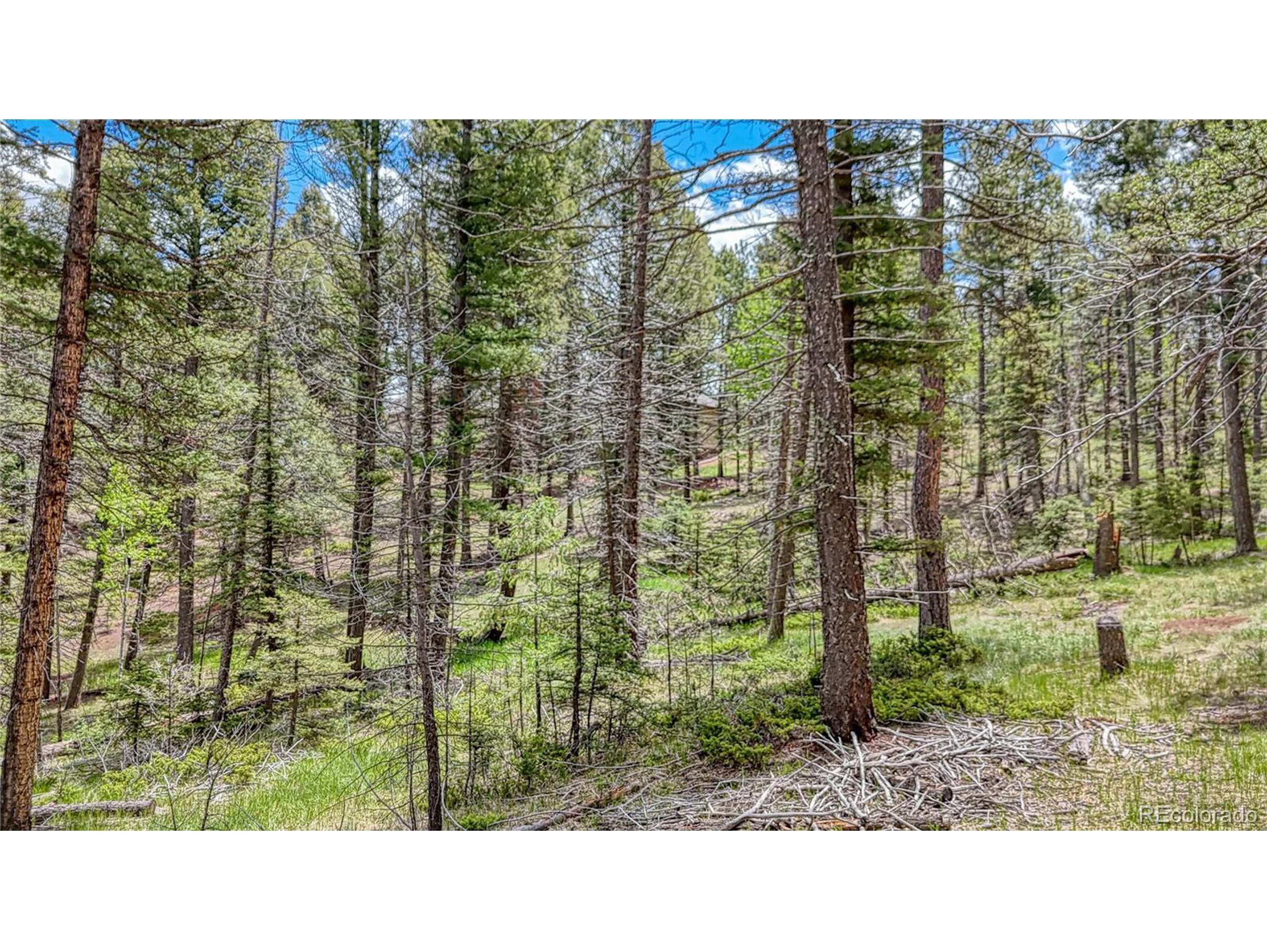 Florissant, CO 80816,28 Deer Cir