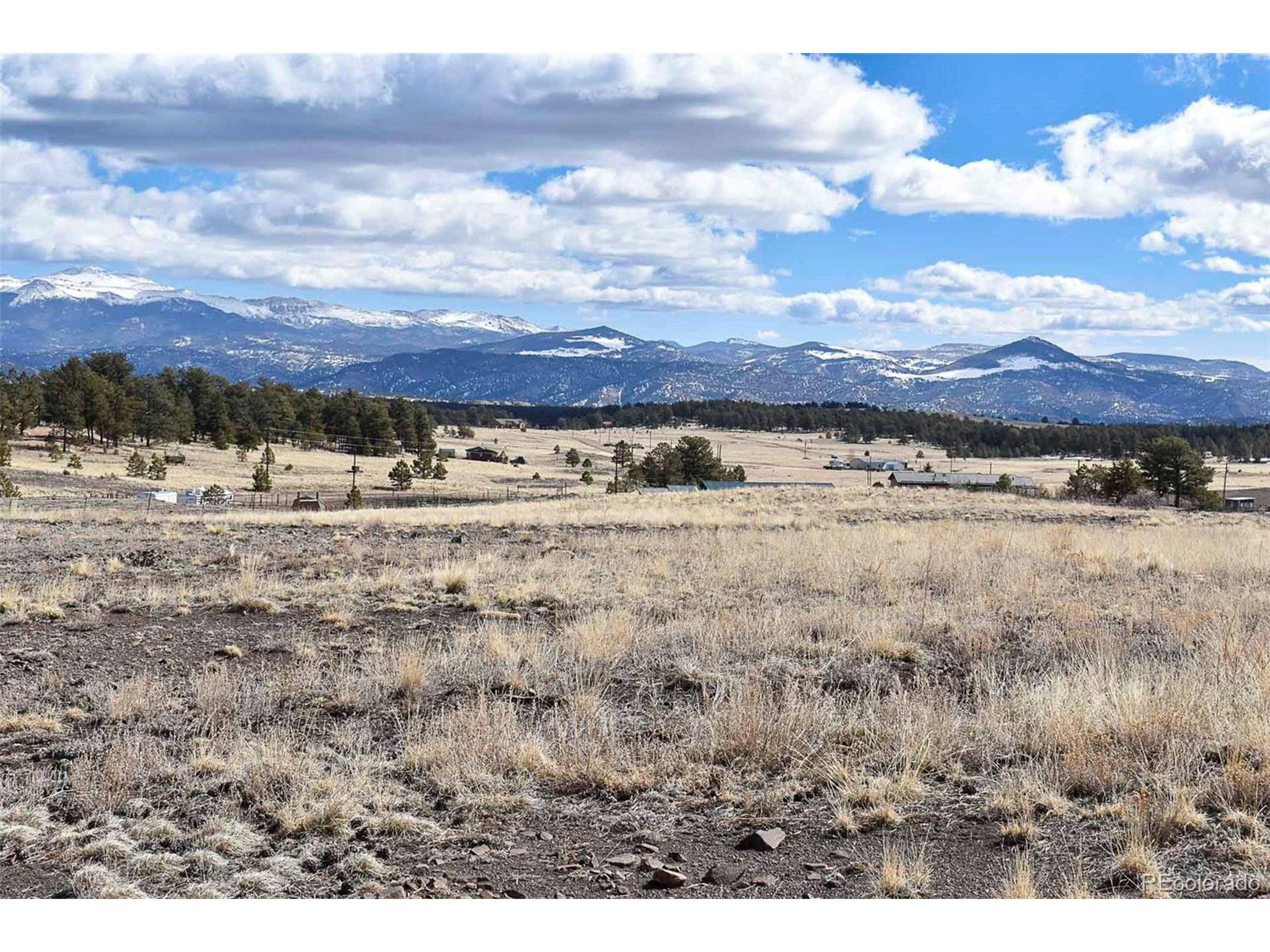 Guffey, CO 80820,597 Meadow Ln