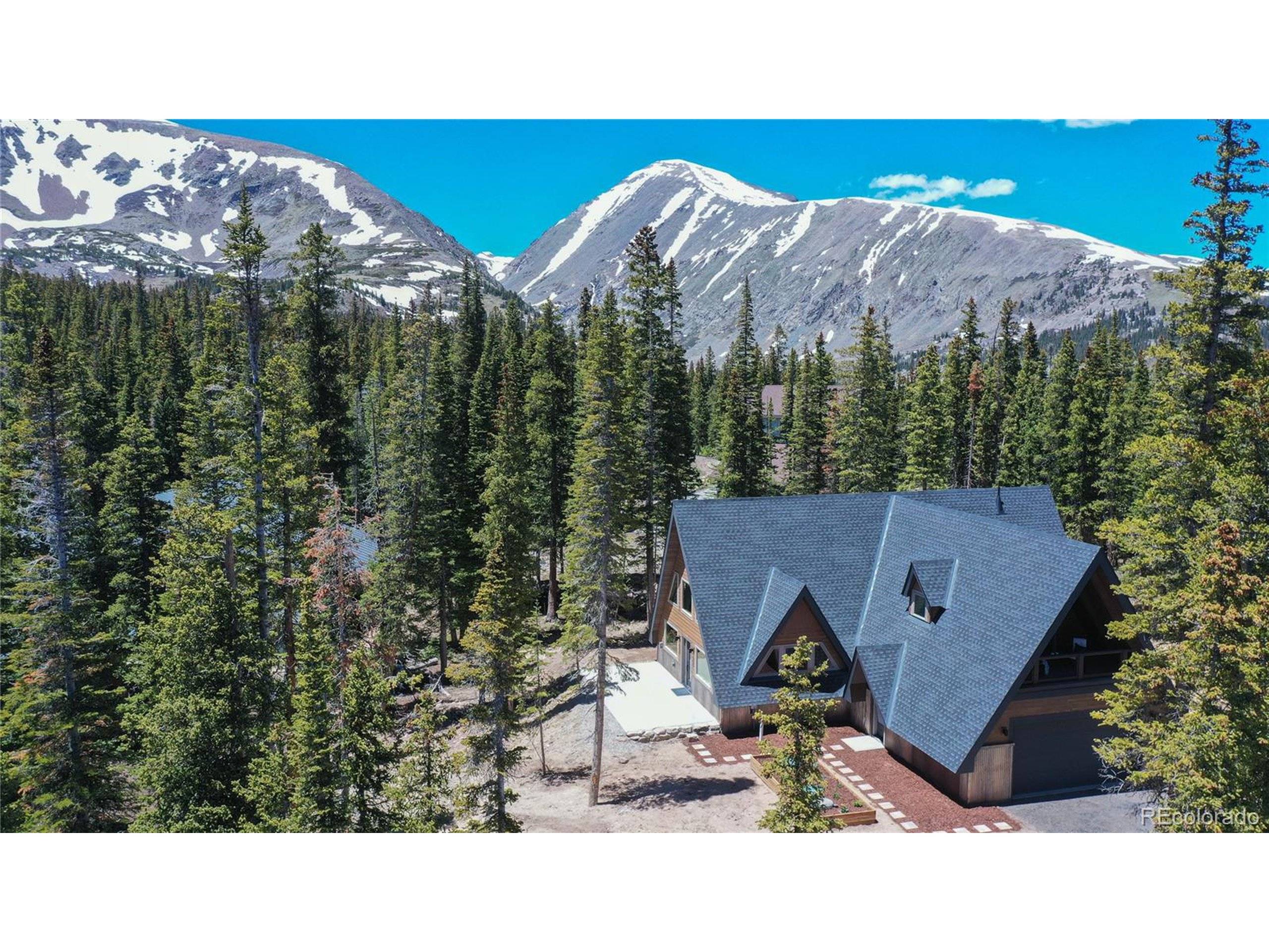 Breckenridge, CO 80424,297 Robertson Ln