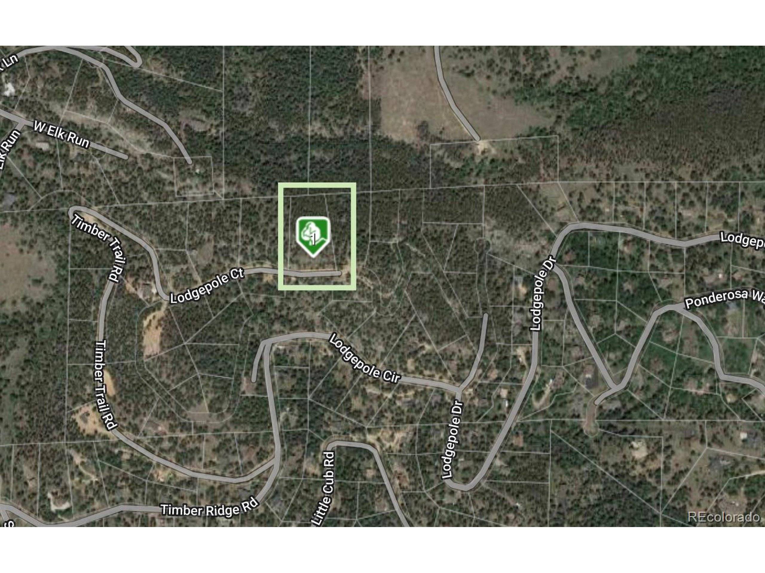 Evergreen, CO 80439,32593 Lodgepole Dr