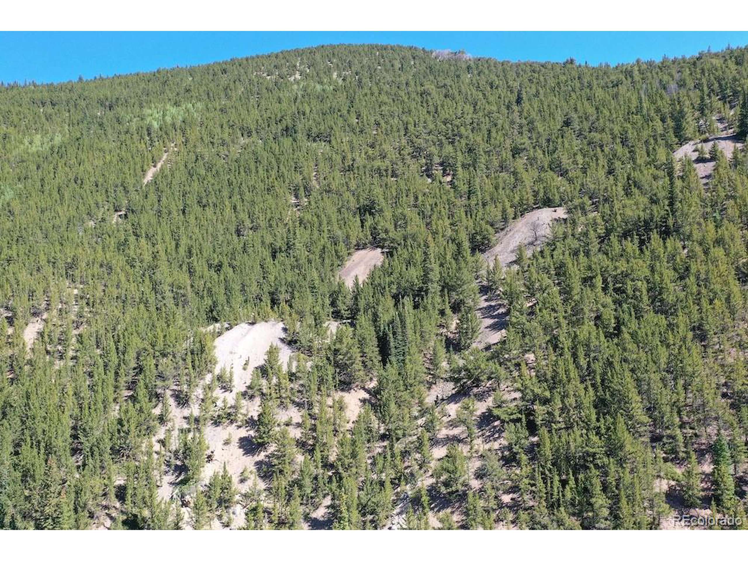 Silver Plume, CO 80476,0 Silver Street