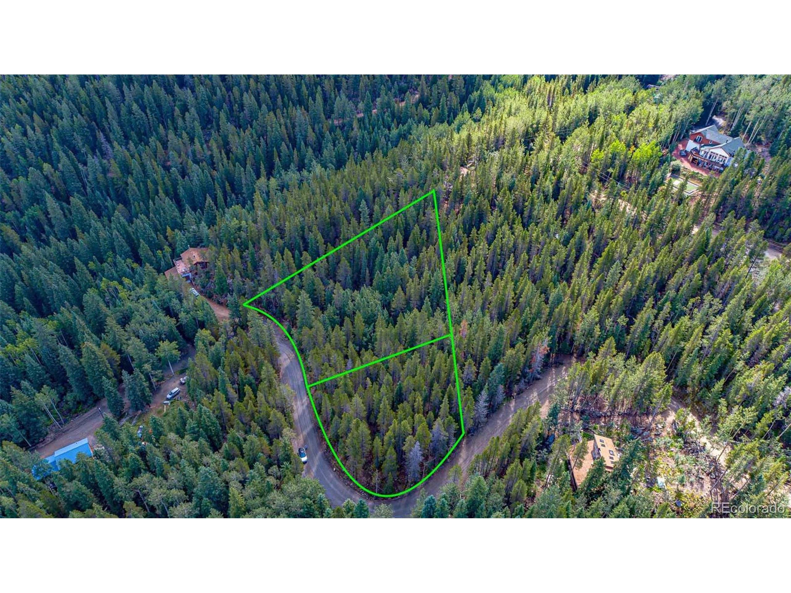 Idaho Springs, CO 80452,4 Ridge View Trl