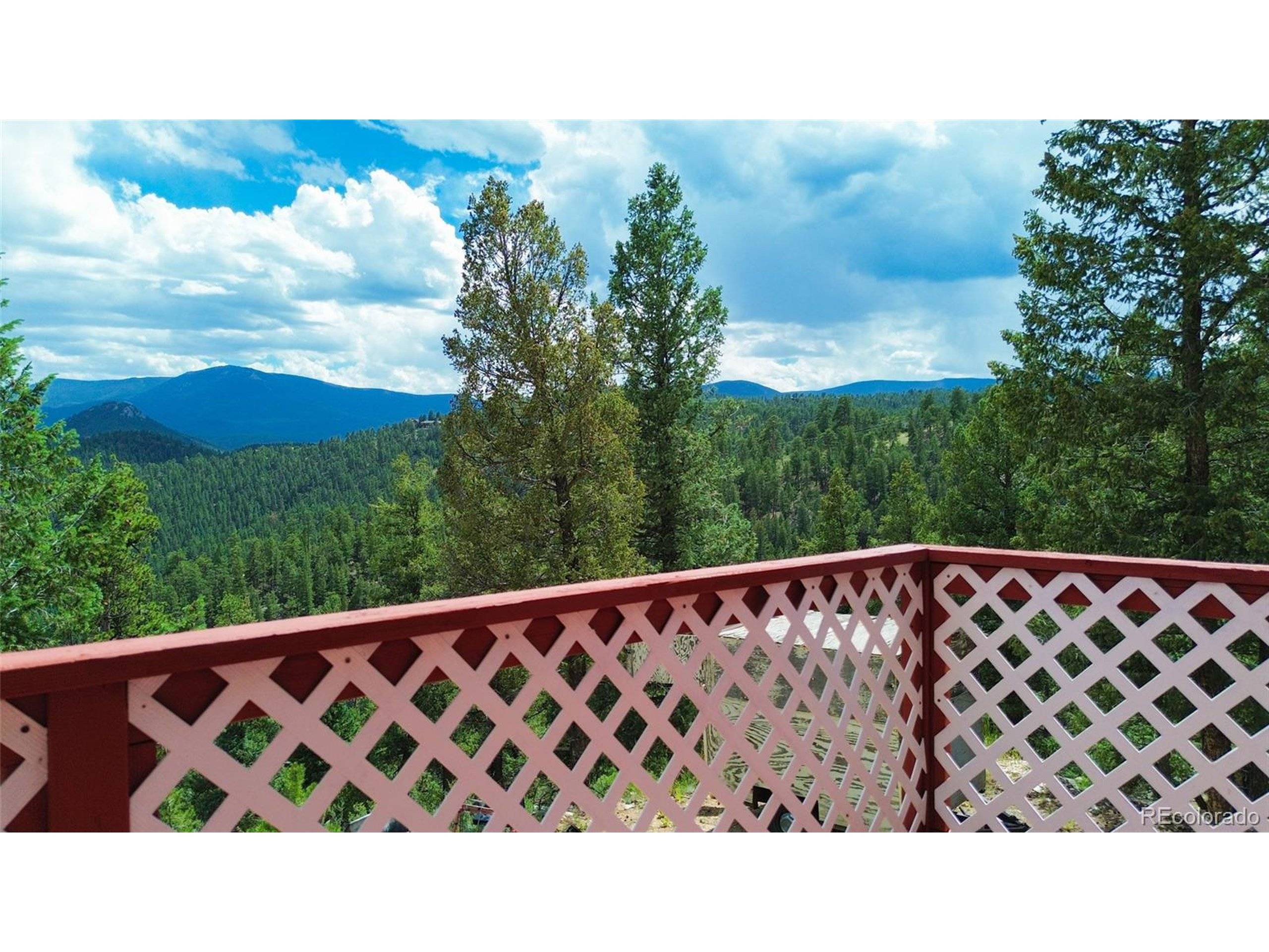 Bailey, CO 80421,64 Zip Ln