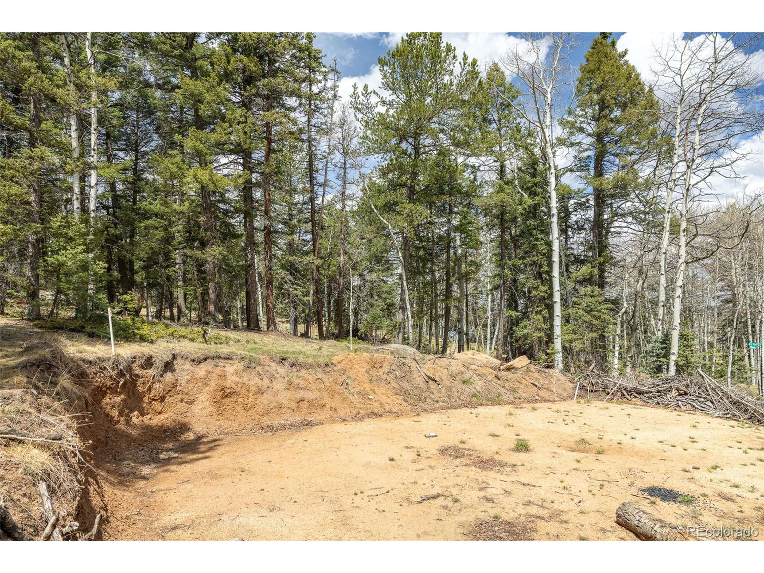 Divide, CO 80814,714 Will Stutley Dr