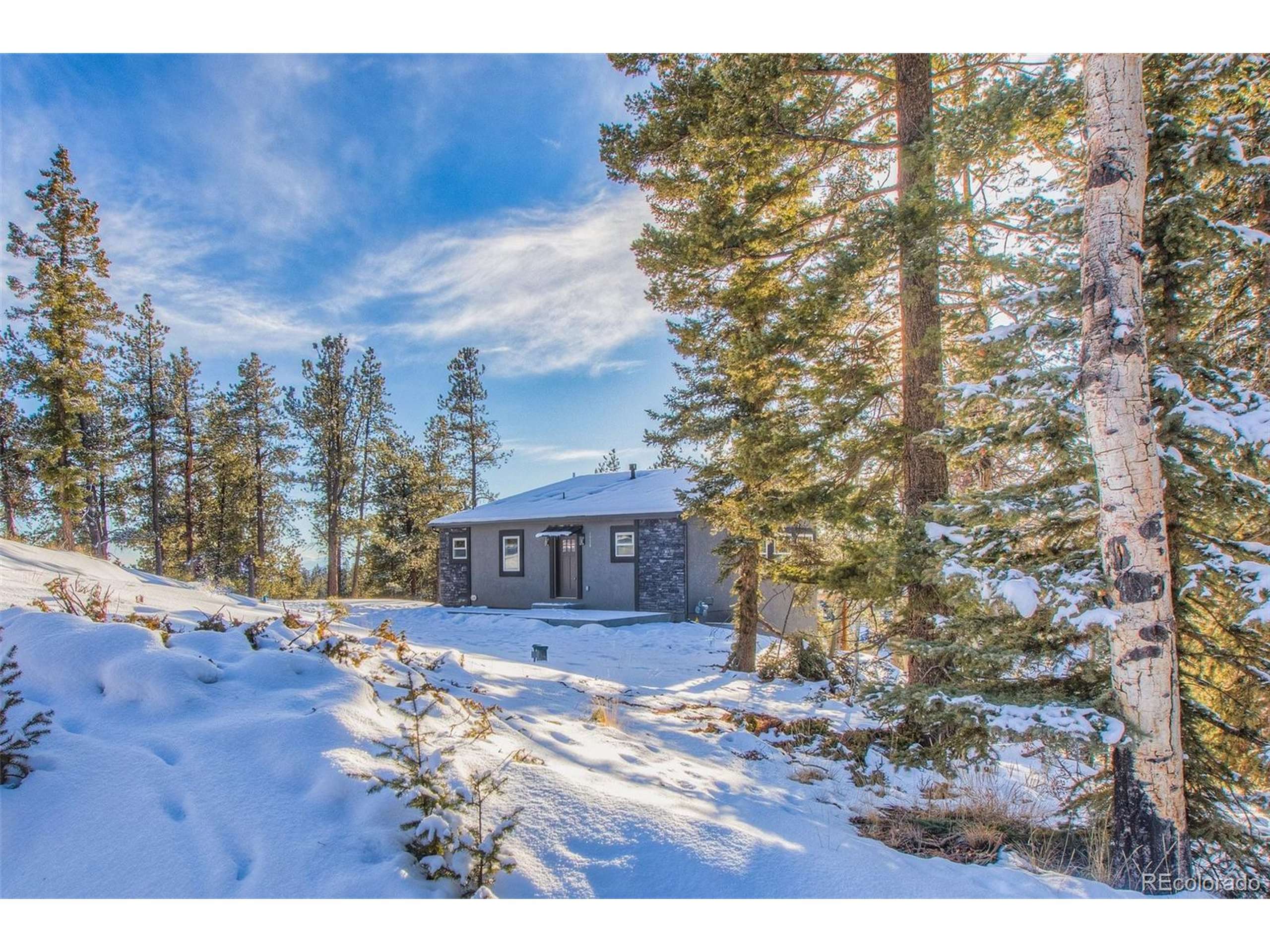 Florissant, CO 80816,1328 N Mountain Estates Rd