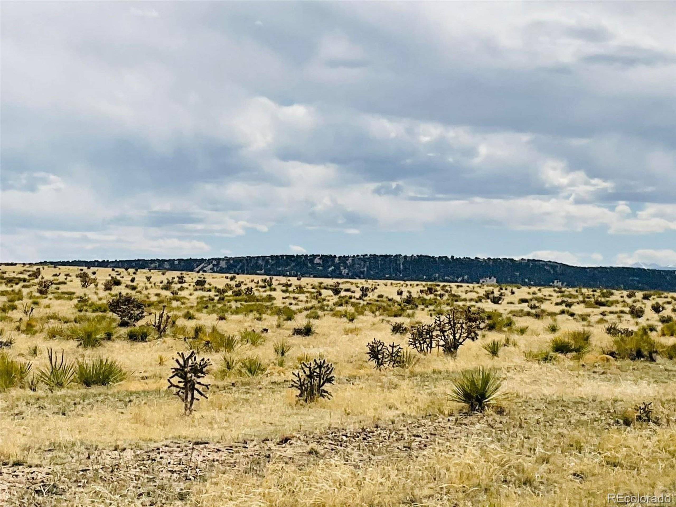 Walsenburg, CO 81089,Lot 239 Turkey Ridge Ranch