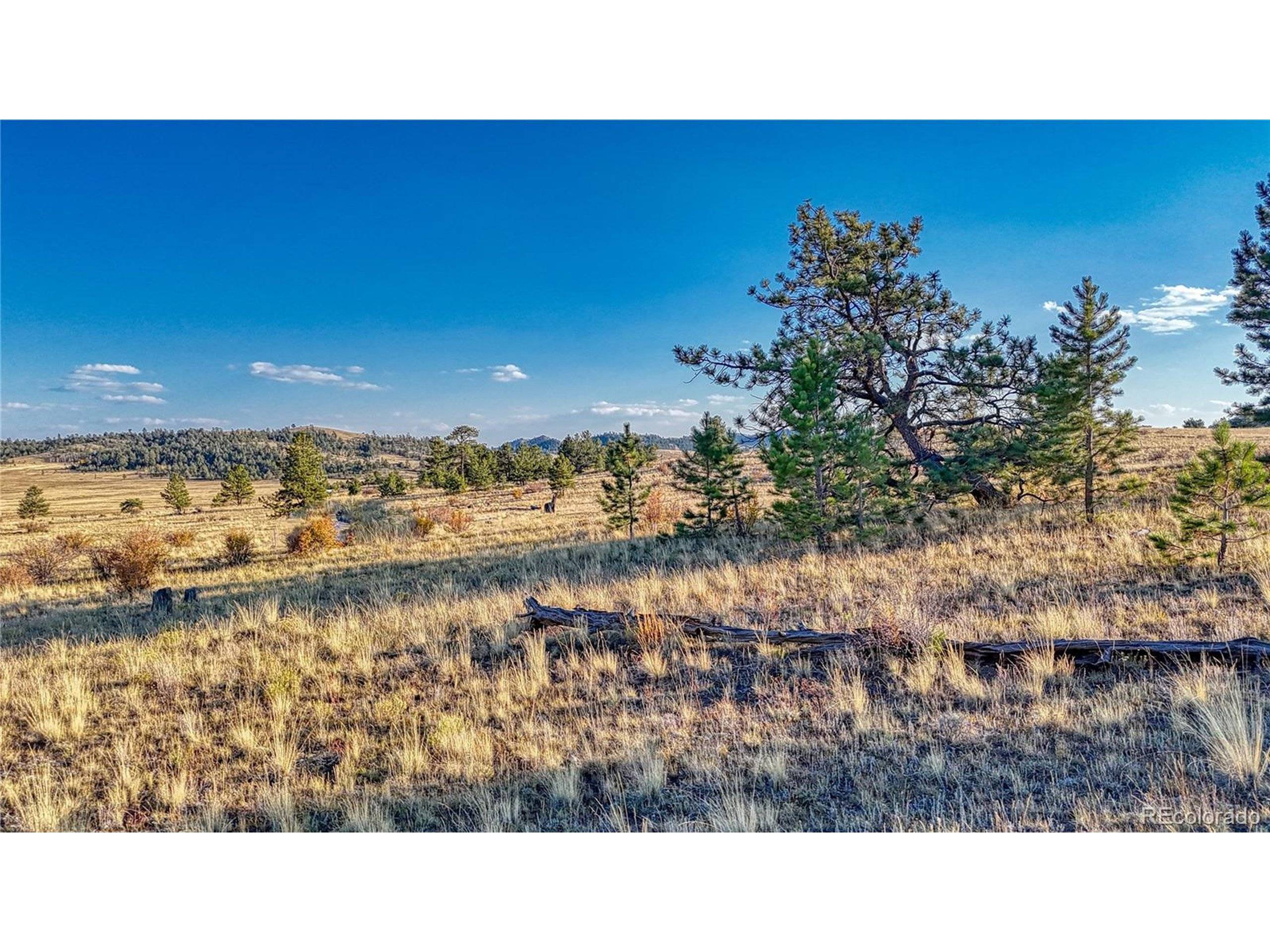 Hartsel, CO 80449,912 Chickamauga Trl
