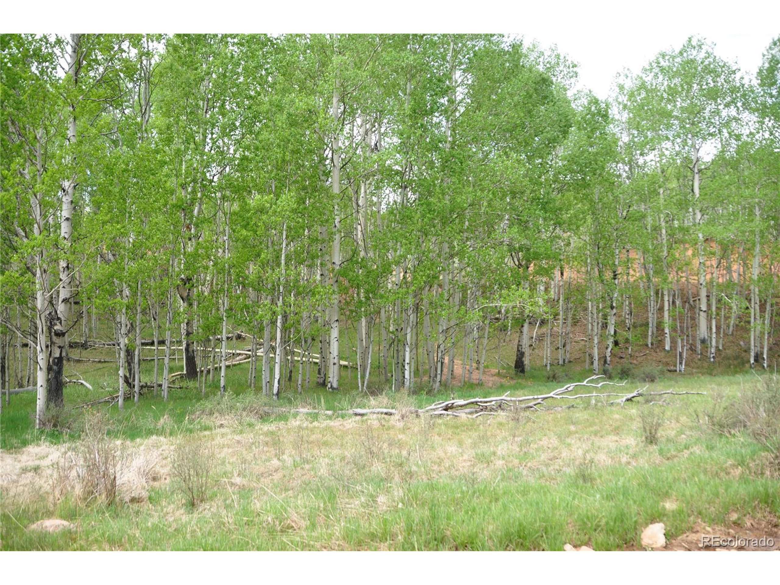 Cripple Creek, CO 80813,155 Granite Ln