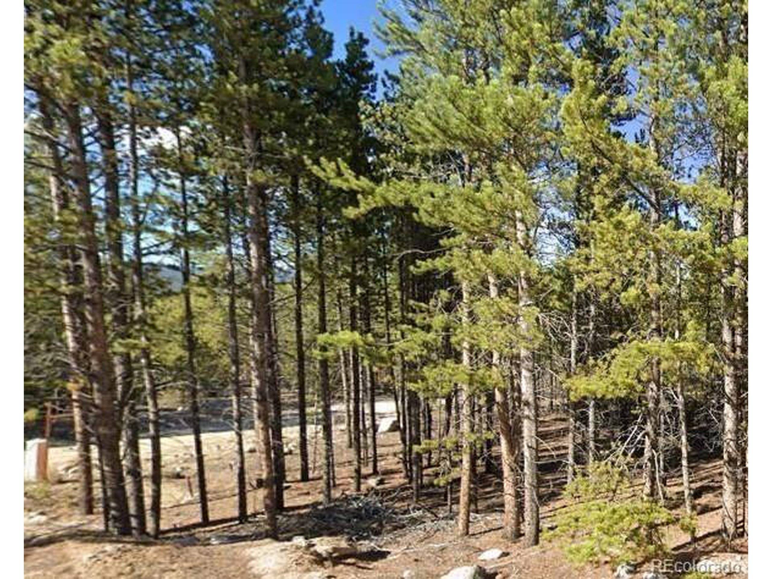 Leadville, CO 80461,455 Lodgepole Dr