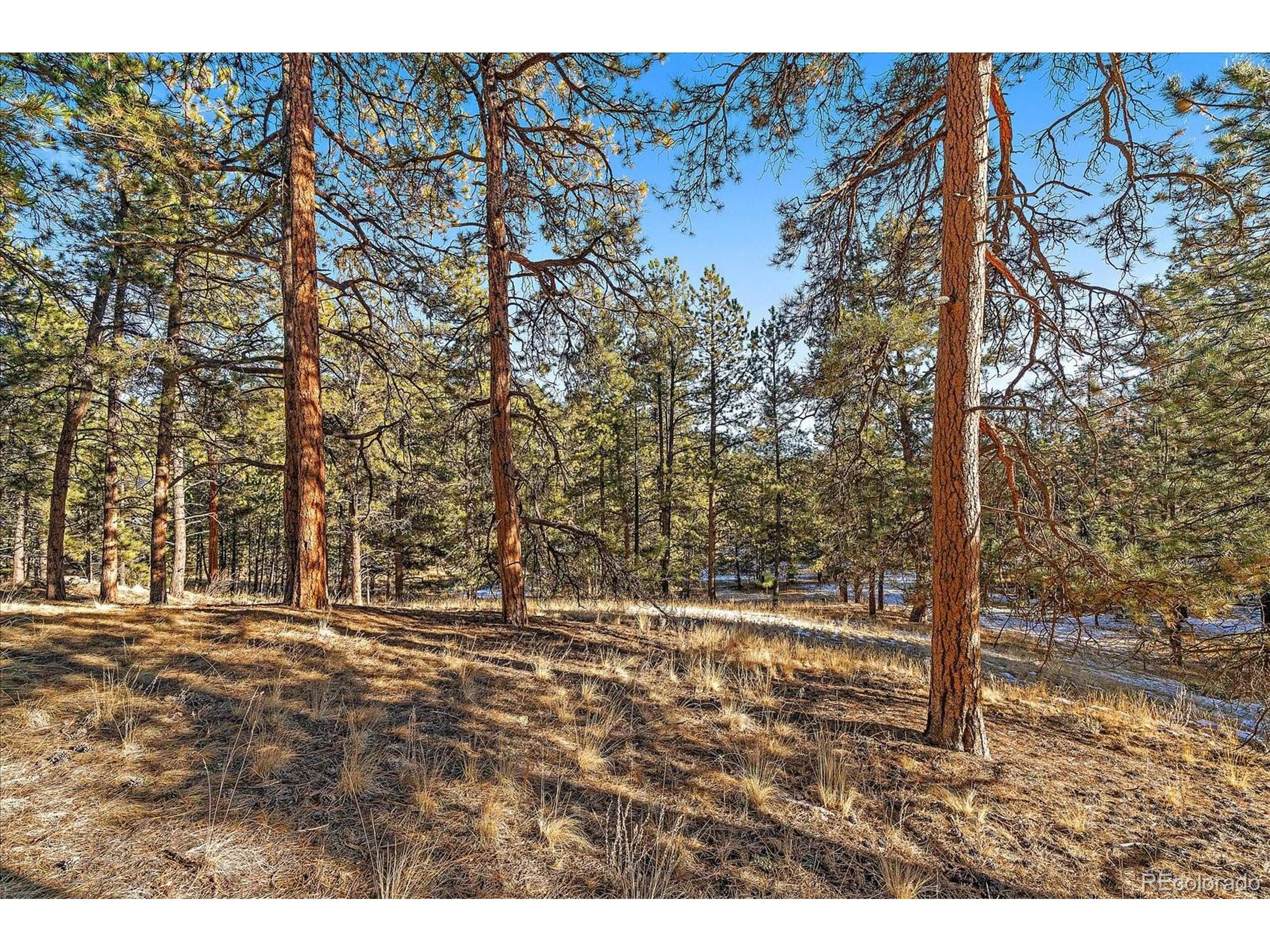 Pine, CO 80470,0 Fish Pond Way