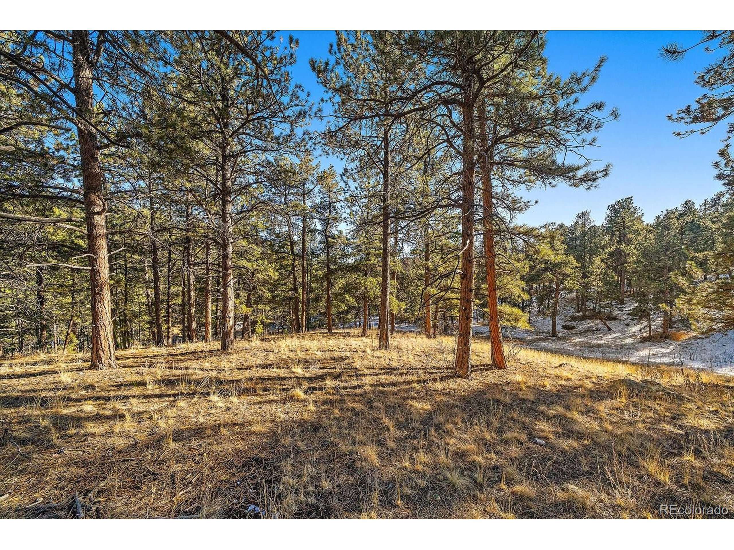 Pine, CO 80470,0 Fish Pond Way