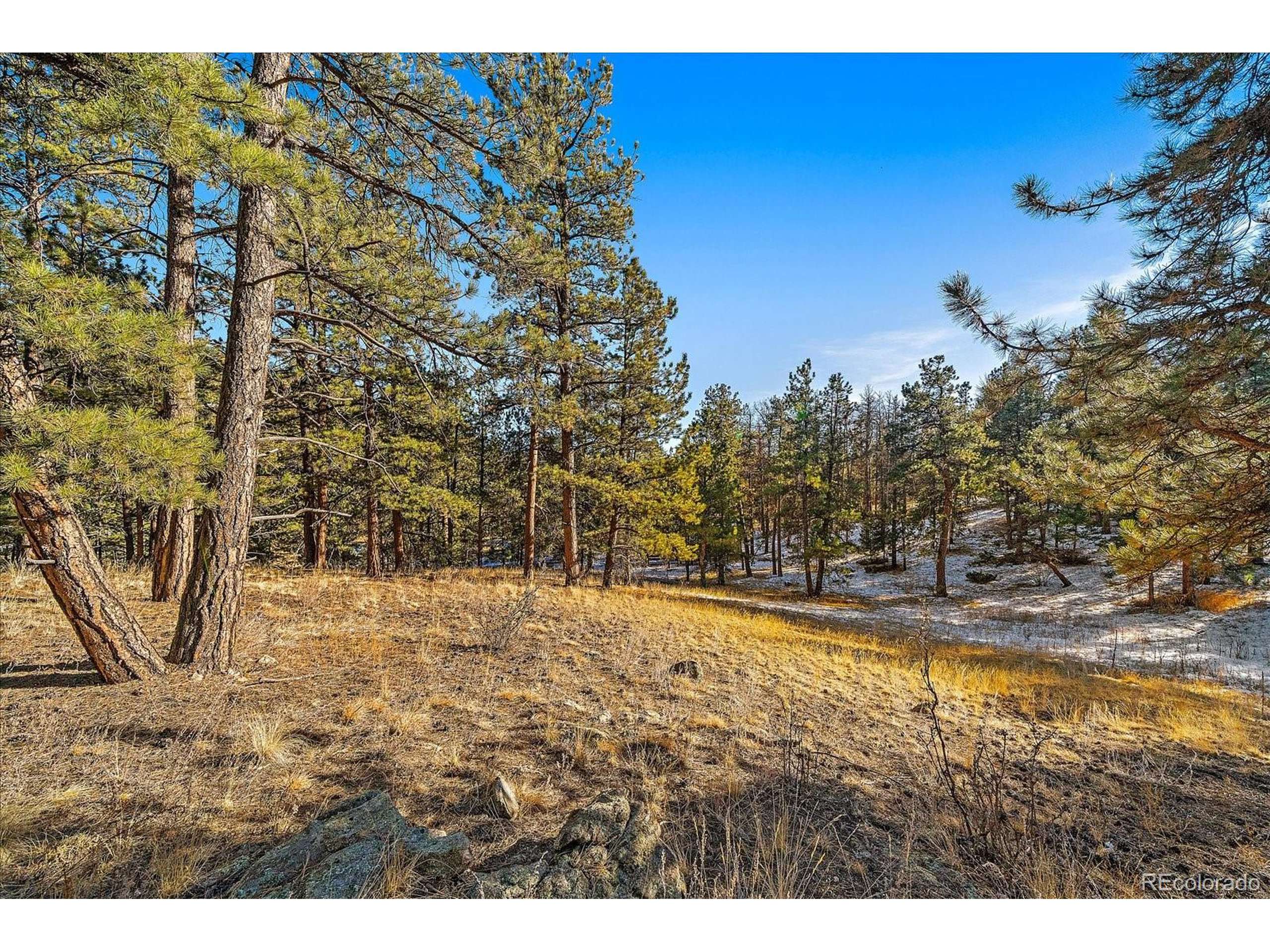 Pine, CO 80470,0 Fish Pond Way