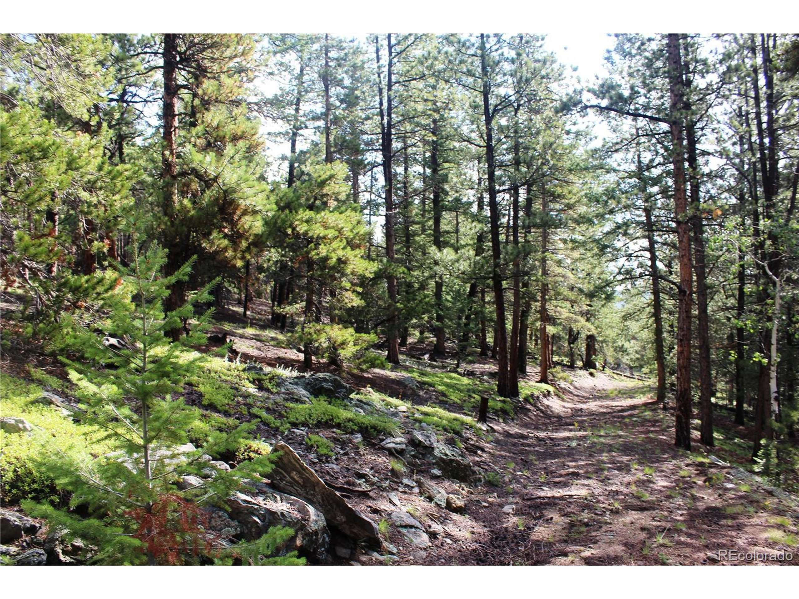 Black Hawk, CO 80422,740 Rangeview Ct