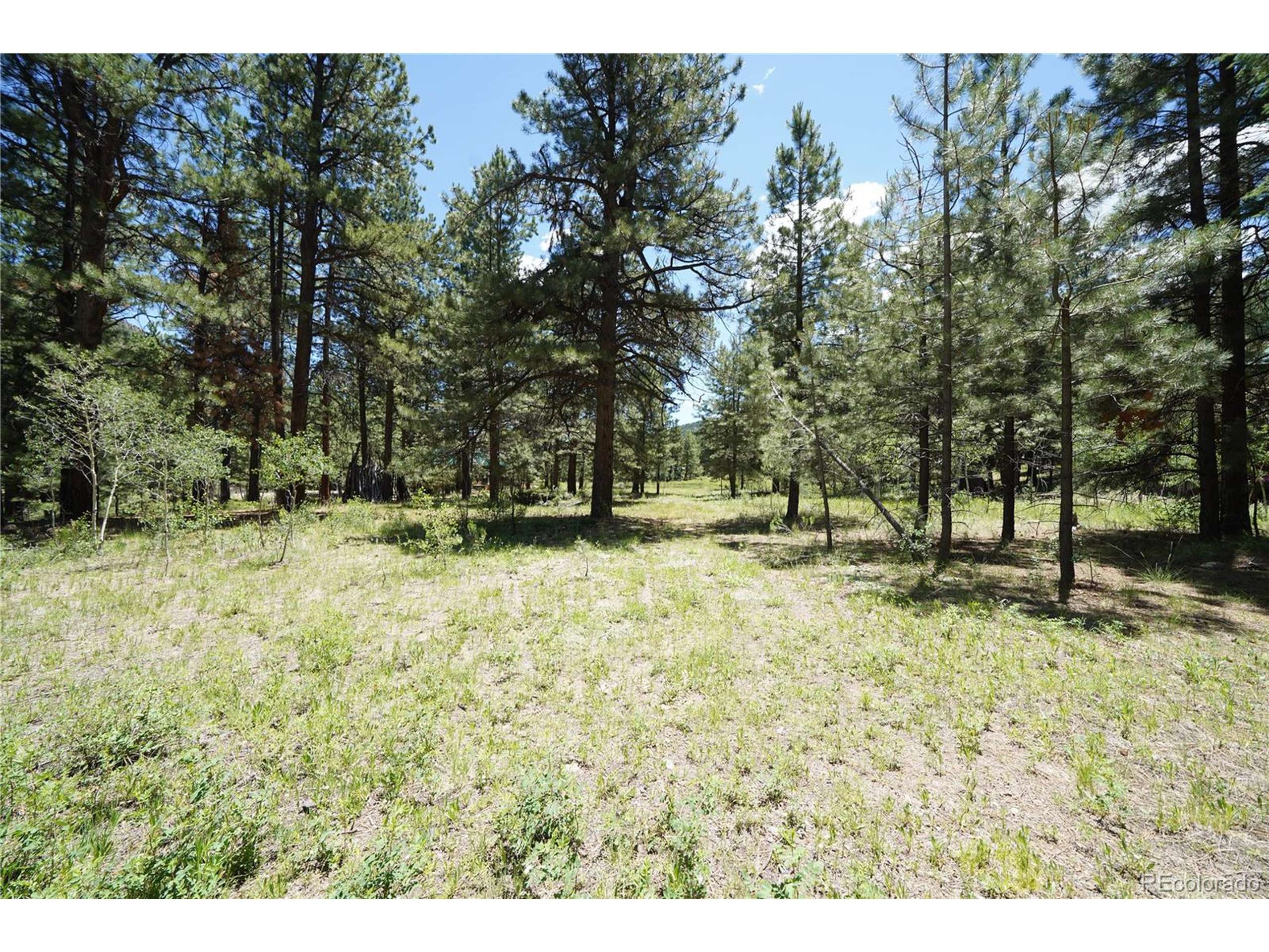 Antonito, CO 81120,136 Elk Meadow Run