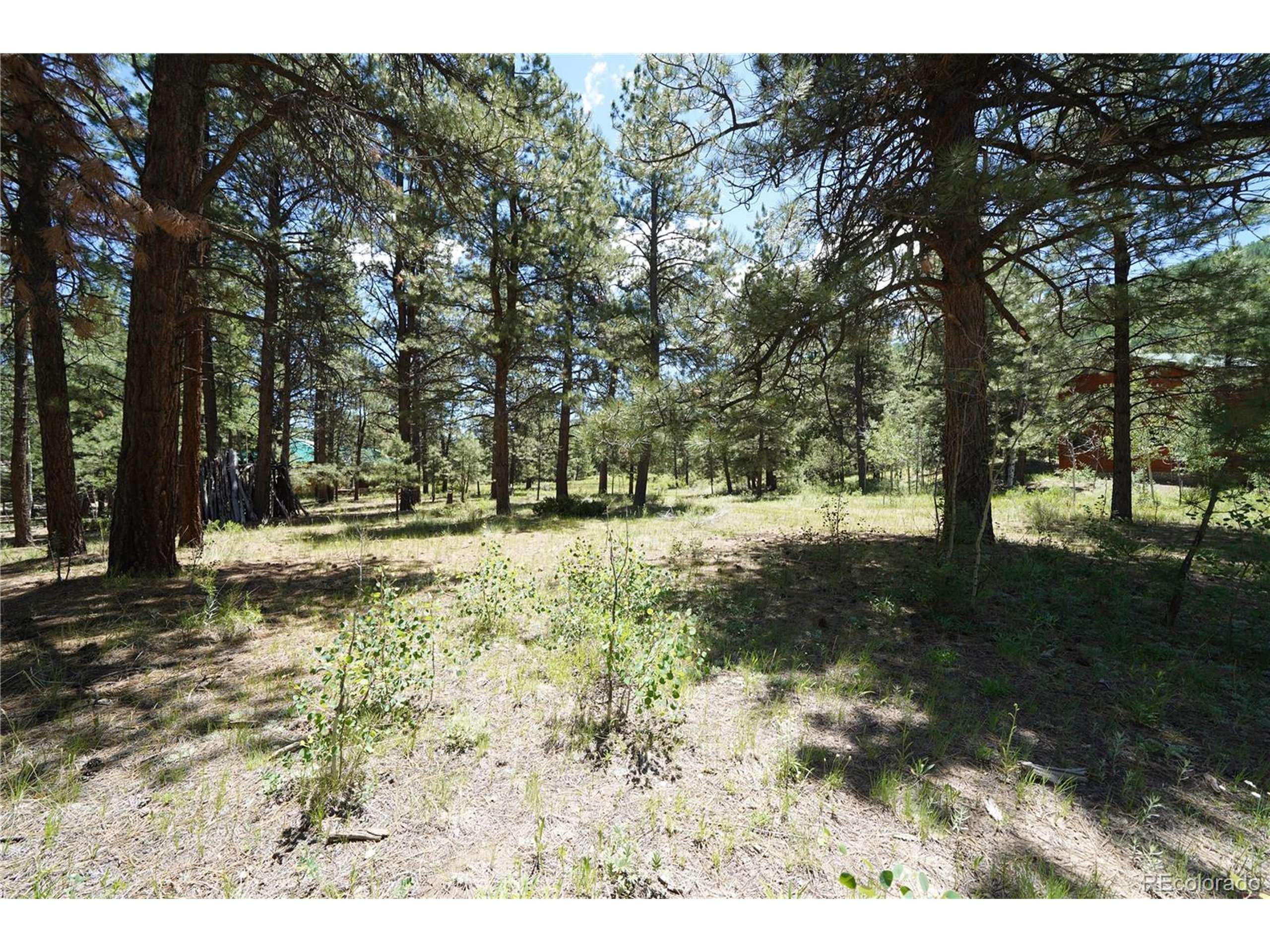 Antonito, CO 81120,136 Elk Meadow Run