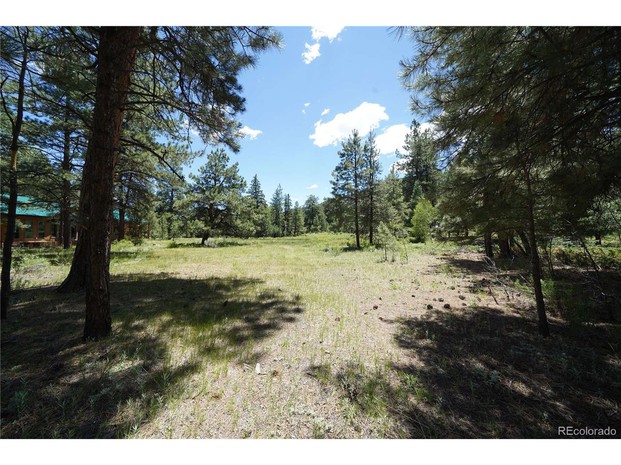 Antonito, CO 81120,136 Elk Meadow Run