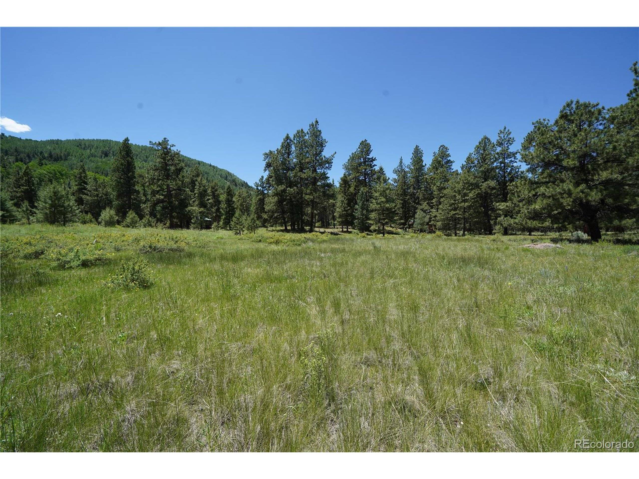 Antonito, CO 81120,136 Elk Meadow Run