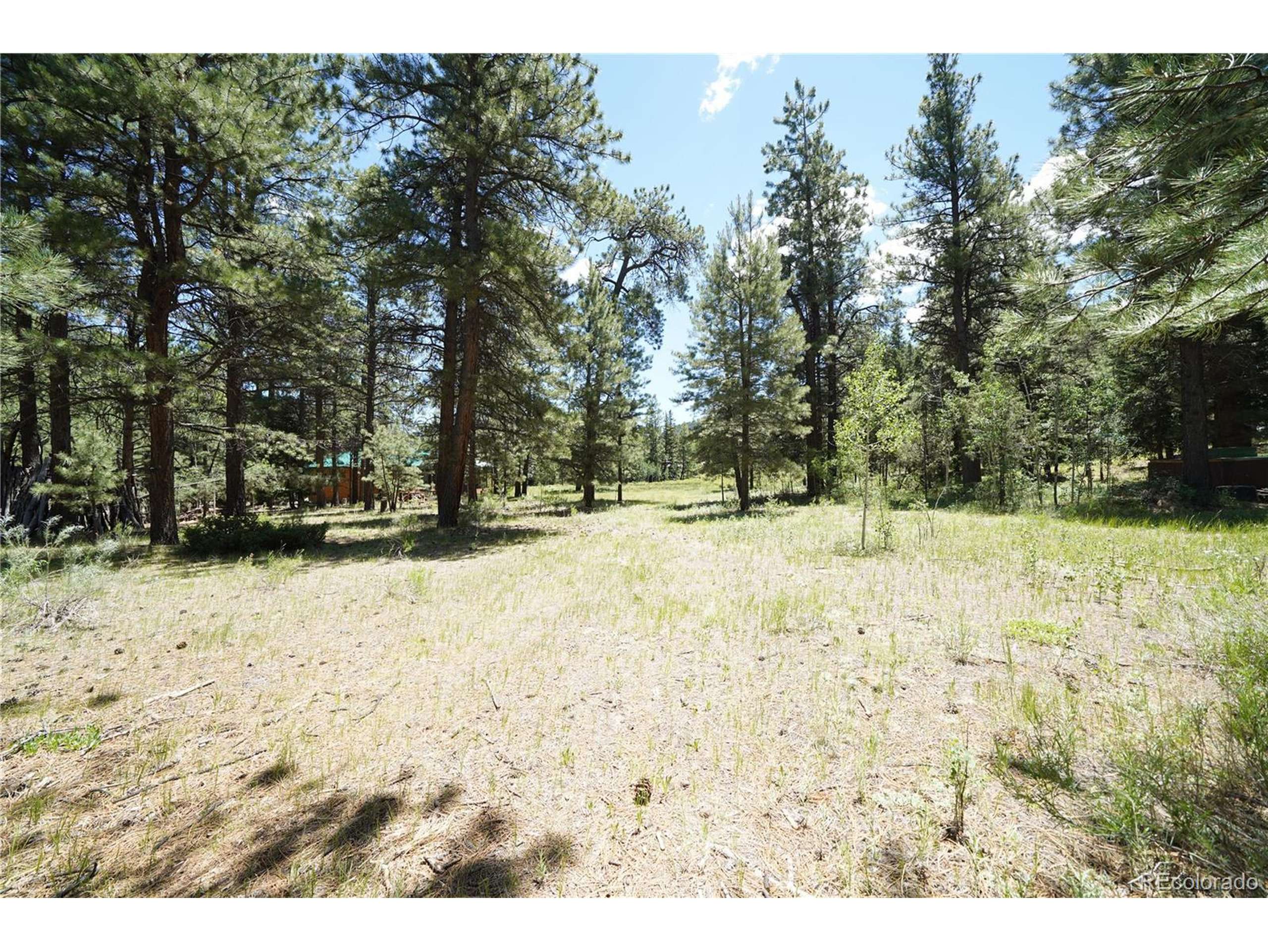 Antonito, CO 81120,136 Elk Meadow Run