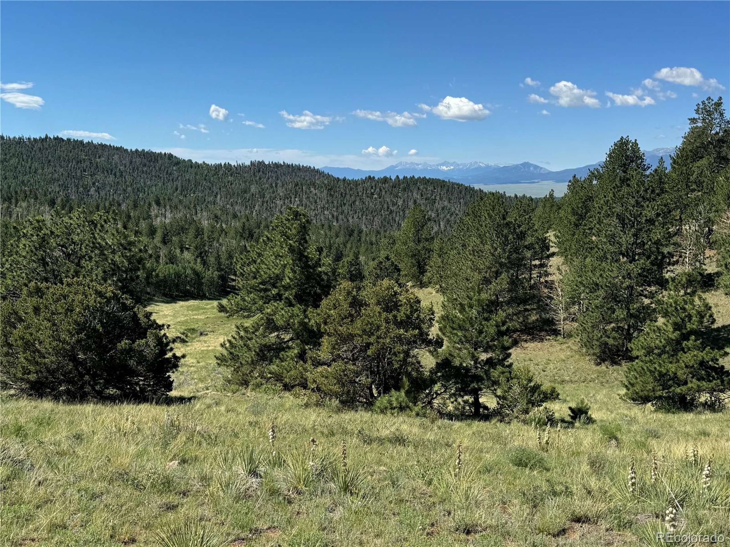 Westcliffe, CO 81252,536 Nightshade Dr