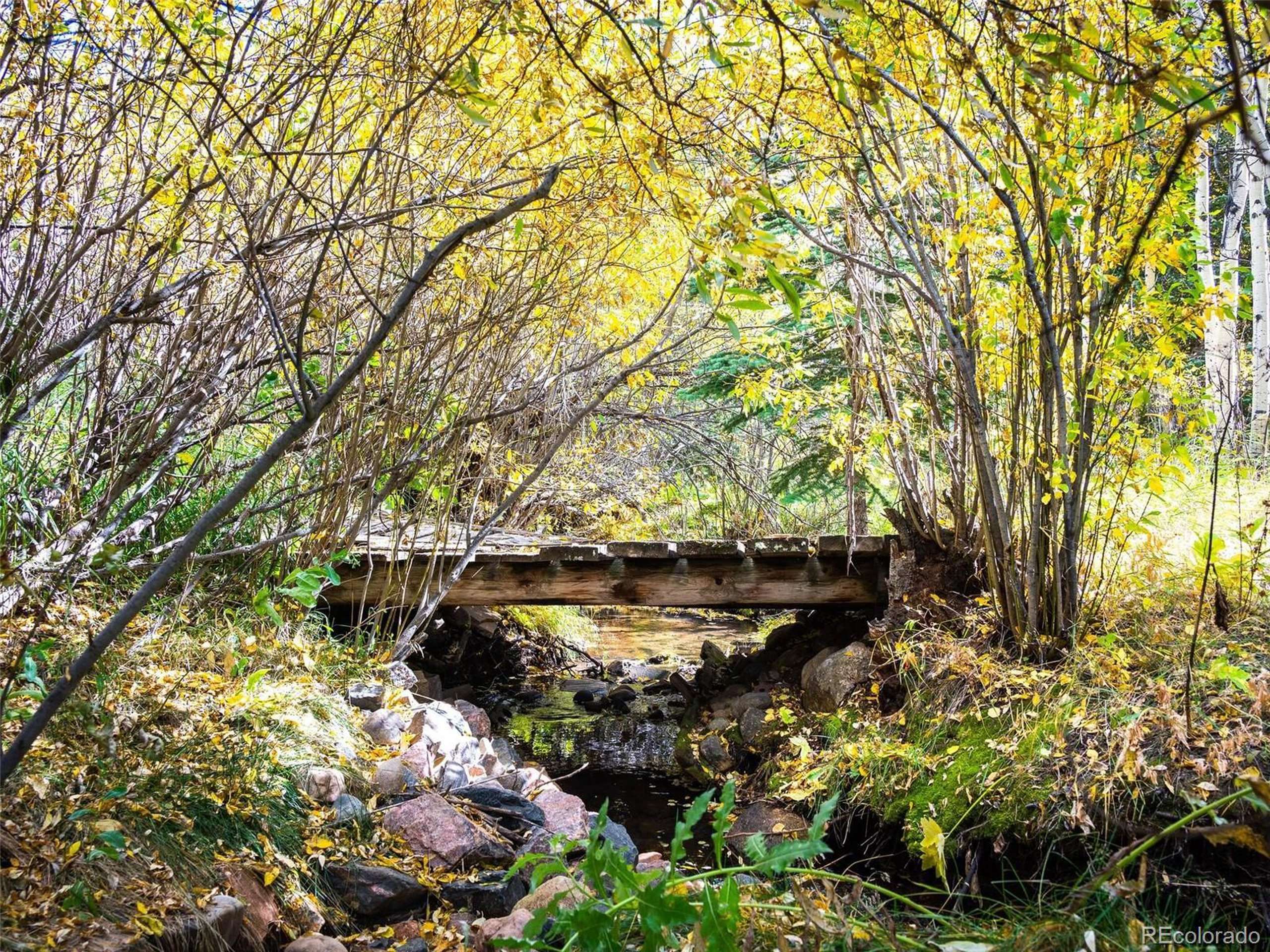 Nederland, CO 80466,531 Caribou Rd